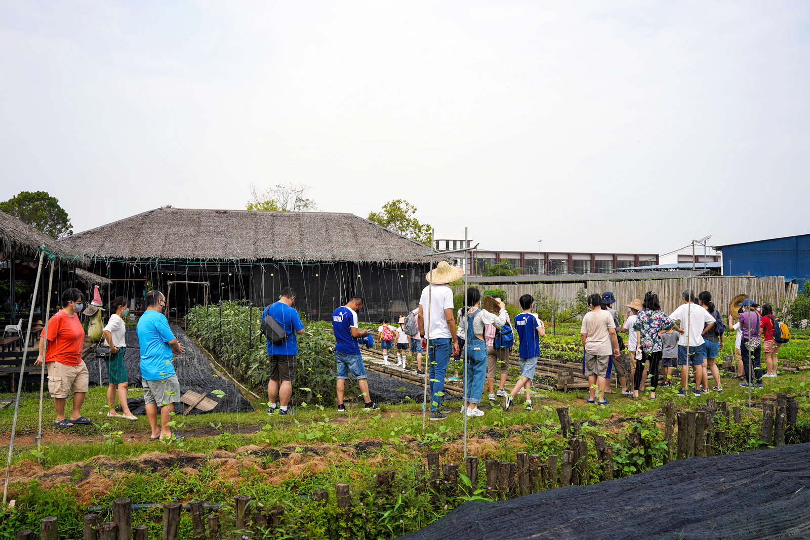 Bug's Paradise Farm-21.jpg