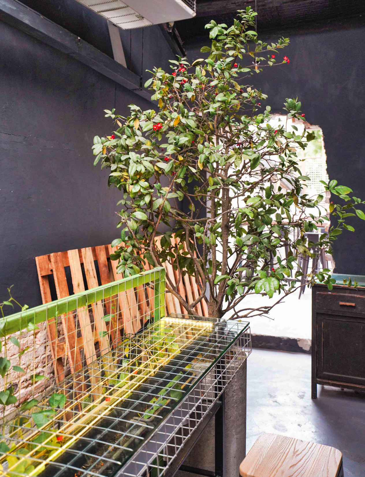 Screenshot 2022-11-23 at 9.31.55 PM.jpg