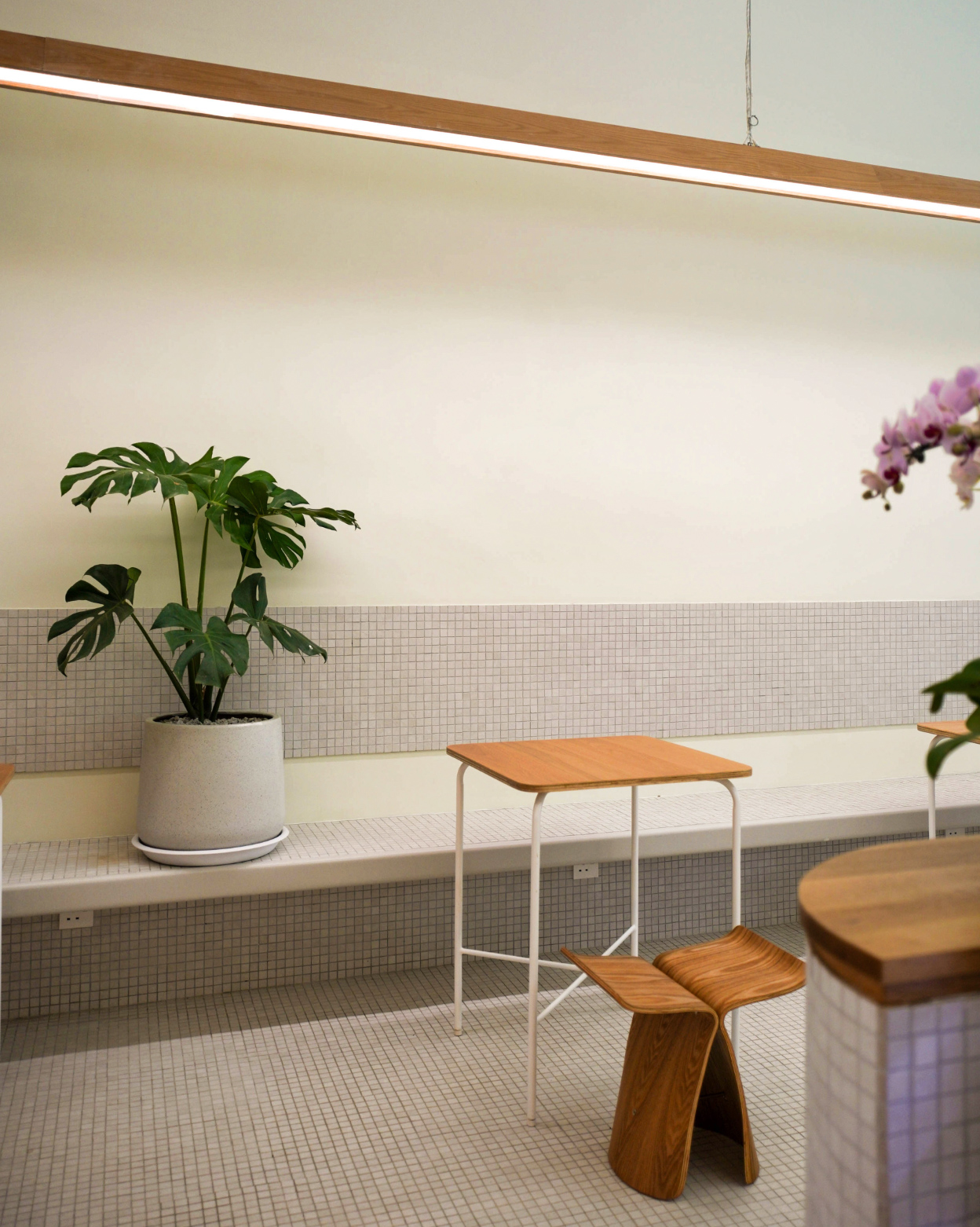 Screenshot 2022-12-15 at 4.41.58 PM.jpg