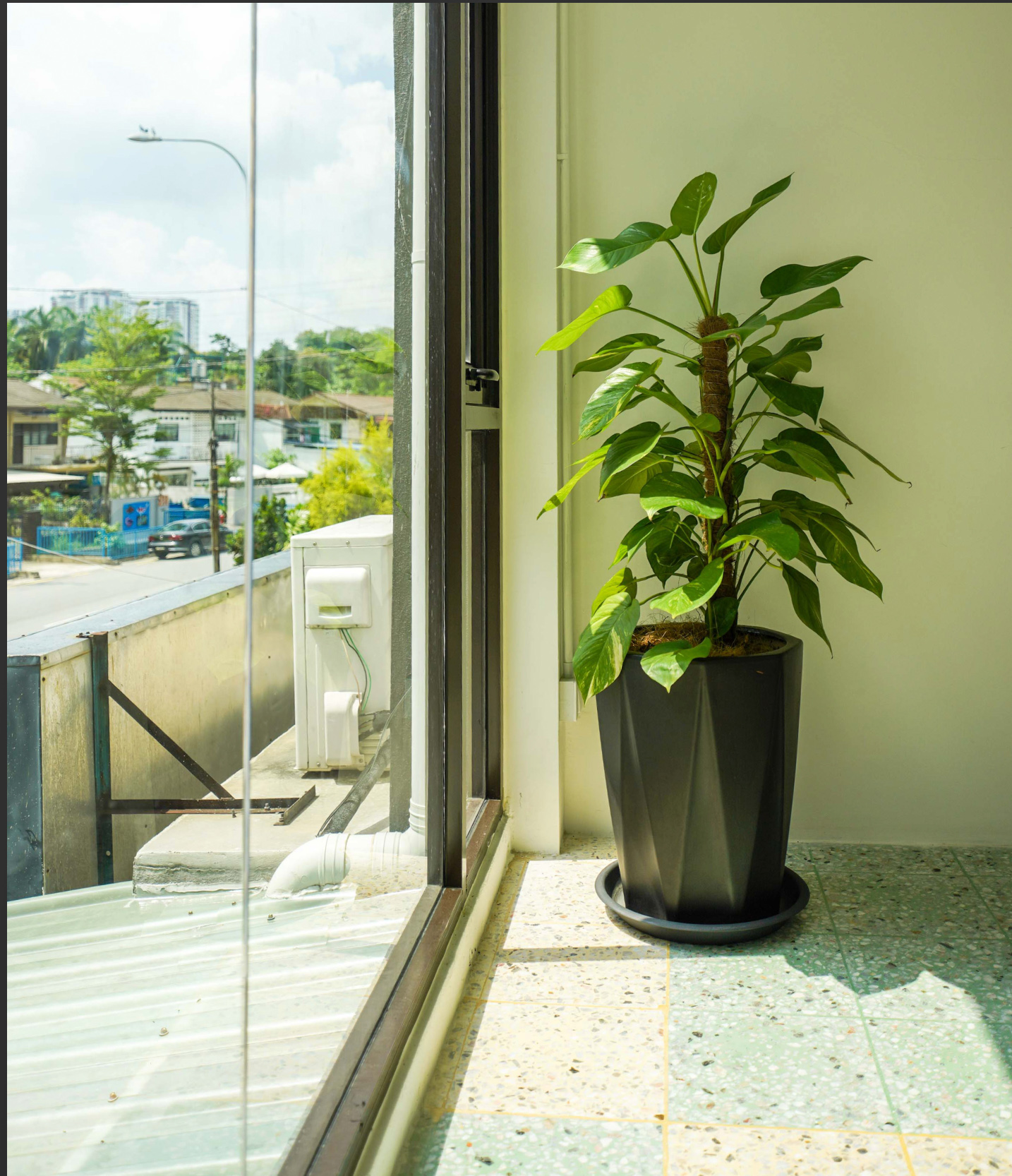 Screenshot 2023-05-29 at 12.42.54 PM.jpg