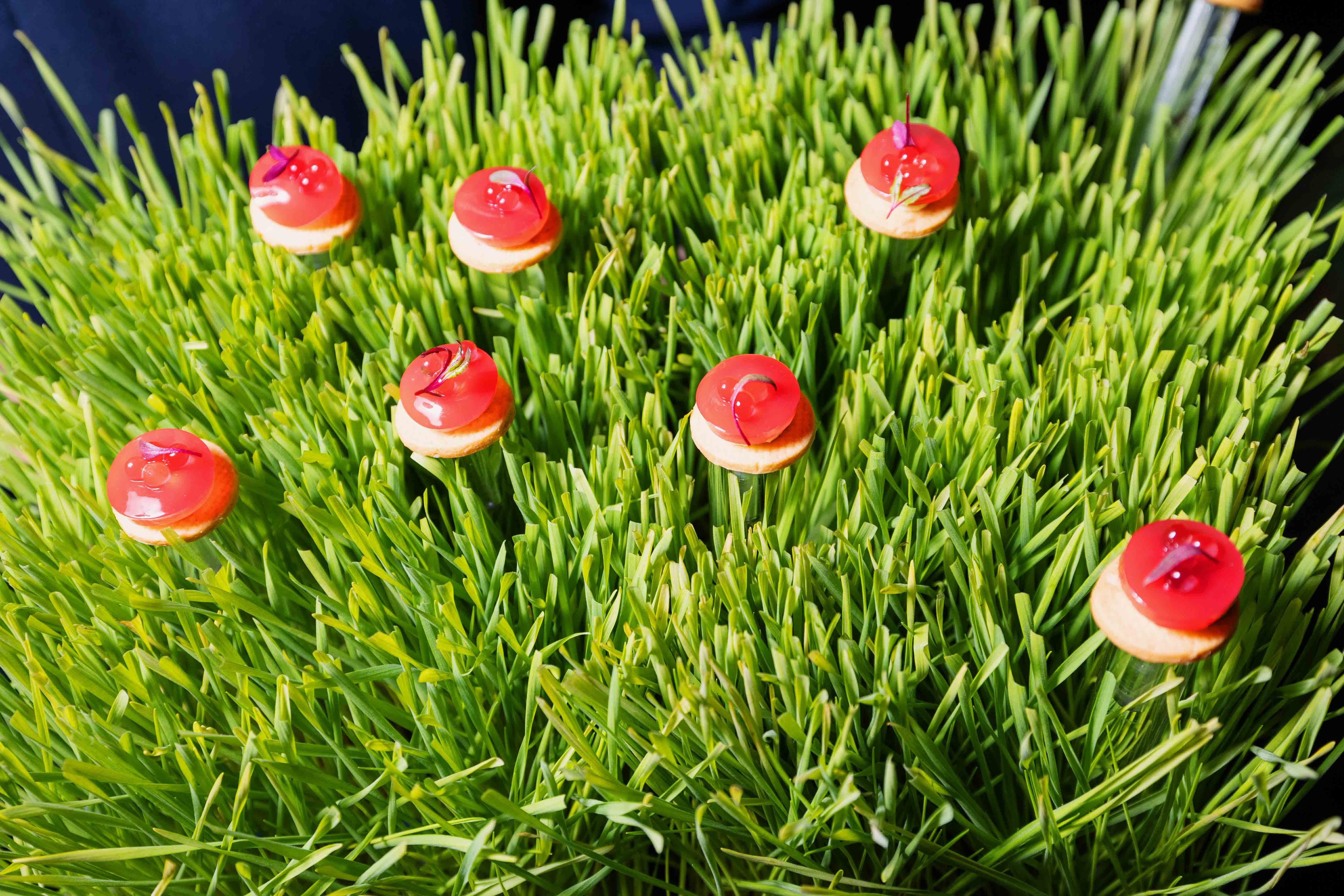 Aged Parmesan Cremeux - Paired with Telmont Réserve Rosé.jpg