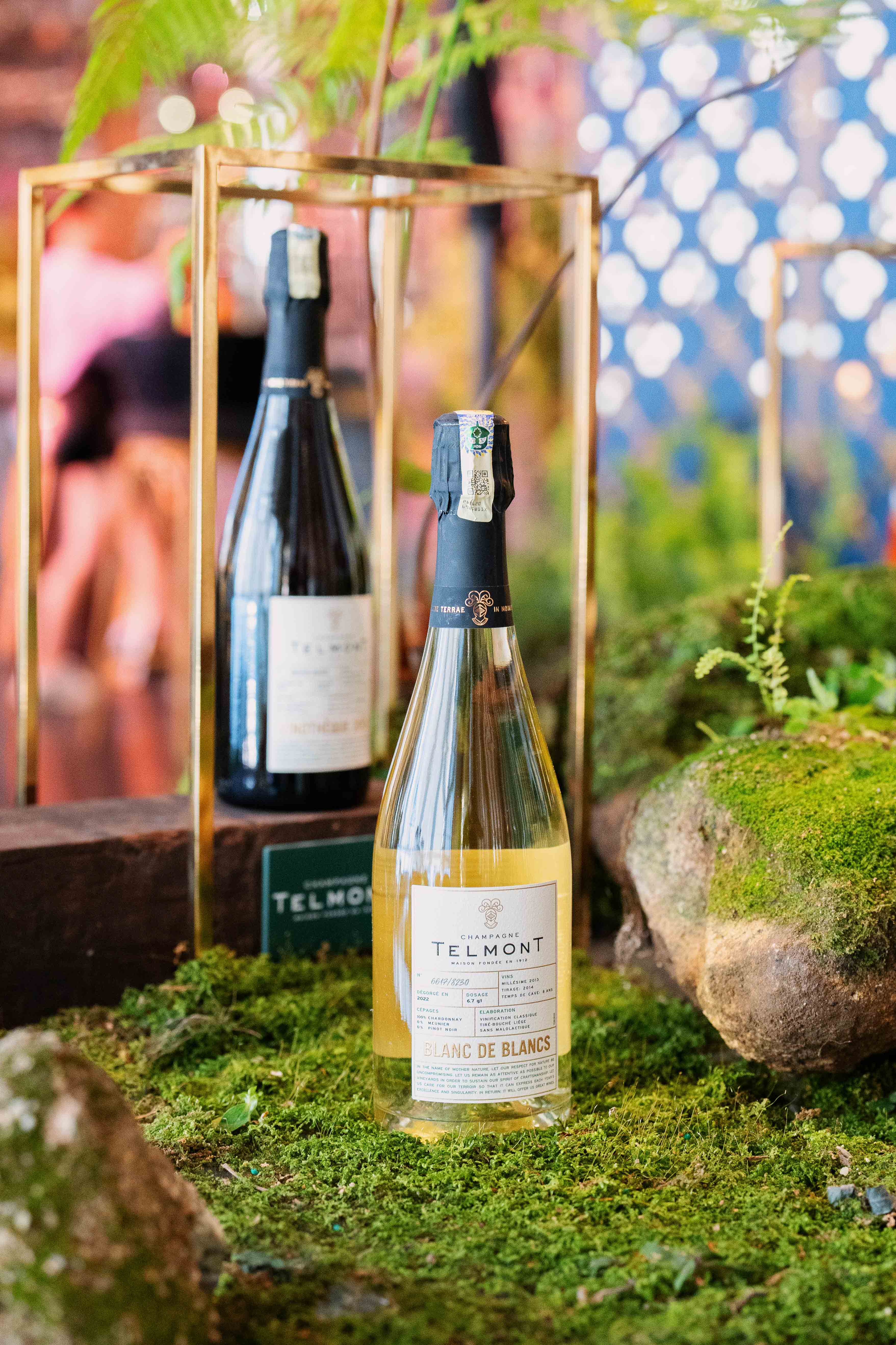 Telmont Champagnes 5.jpg