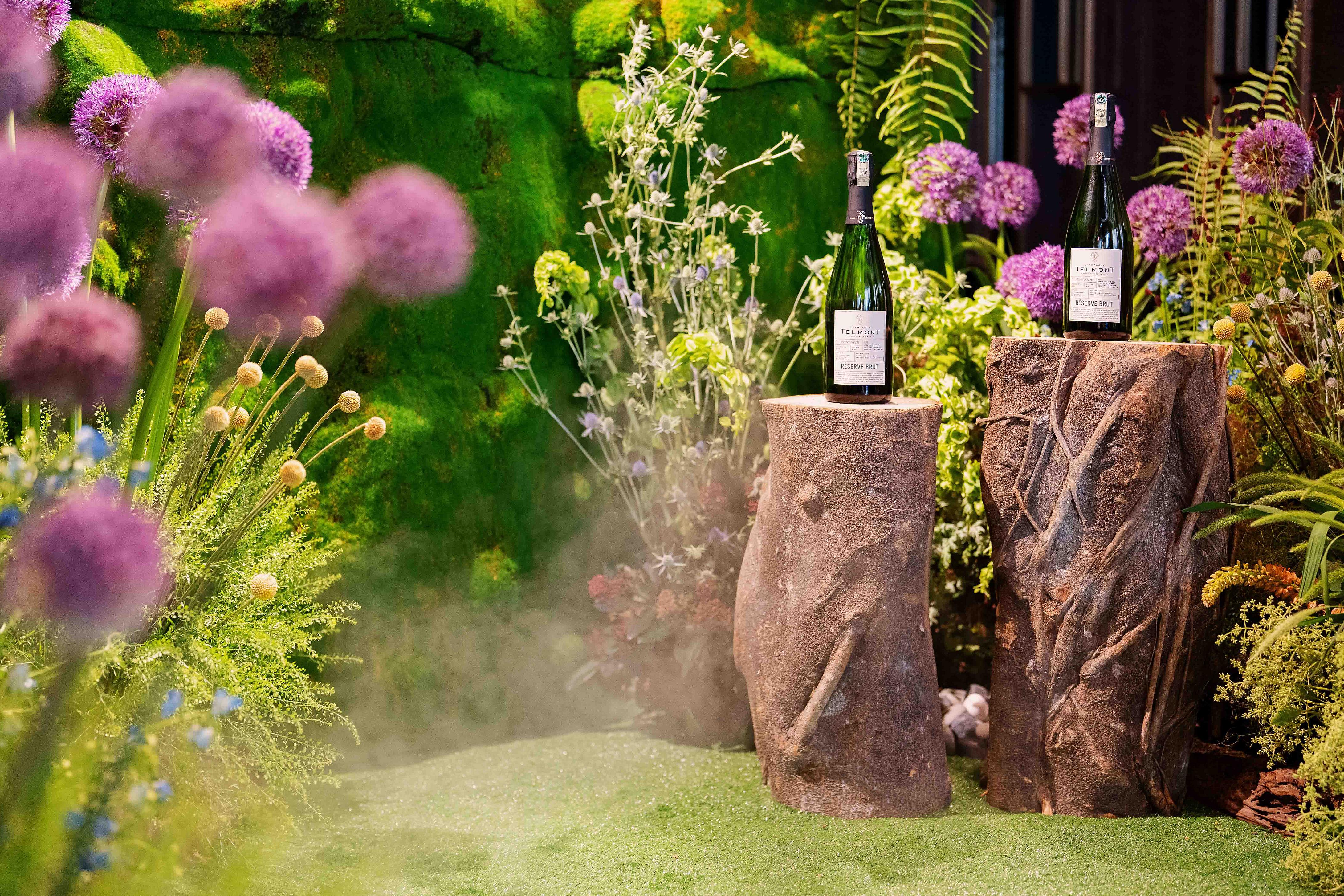 Telmont Champagnes 9.jpg