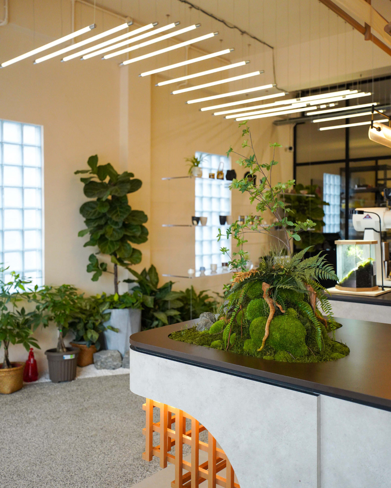 Screenshot 2023-07-19 at 12.27.15 PM.jpg