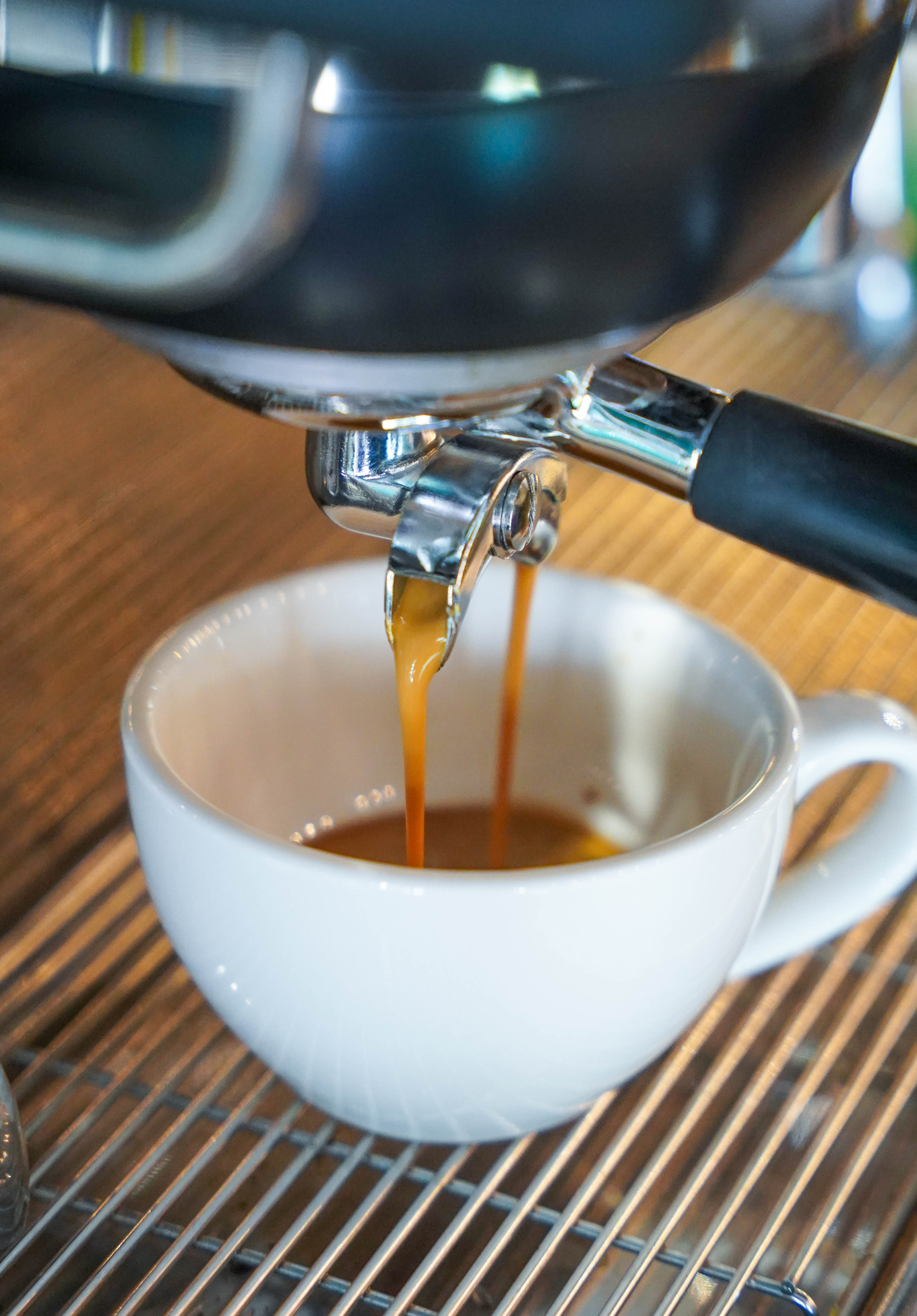 Bundle of Bun-41.jpg