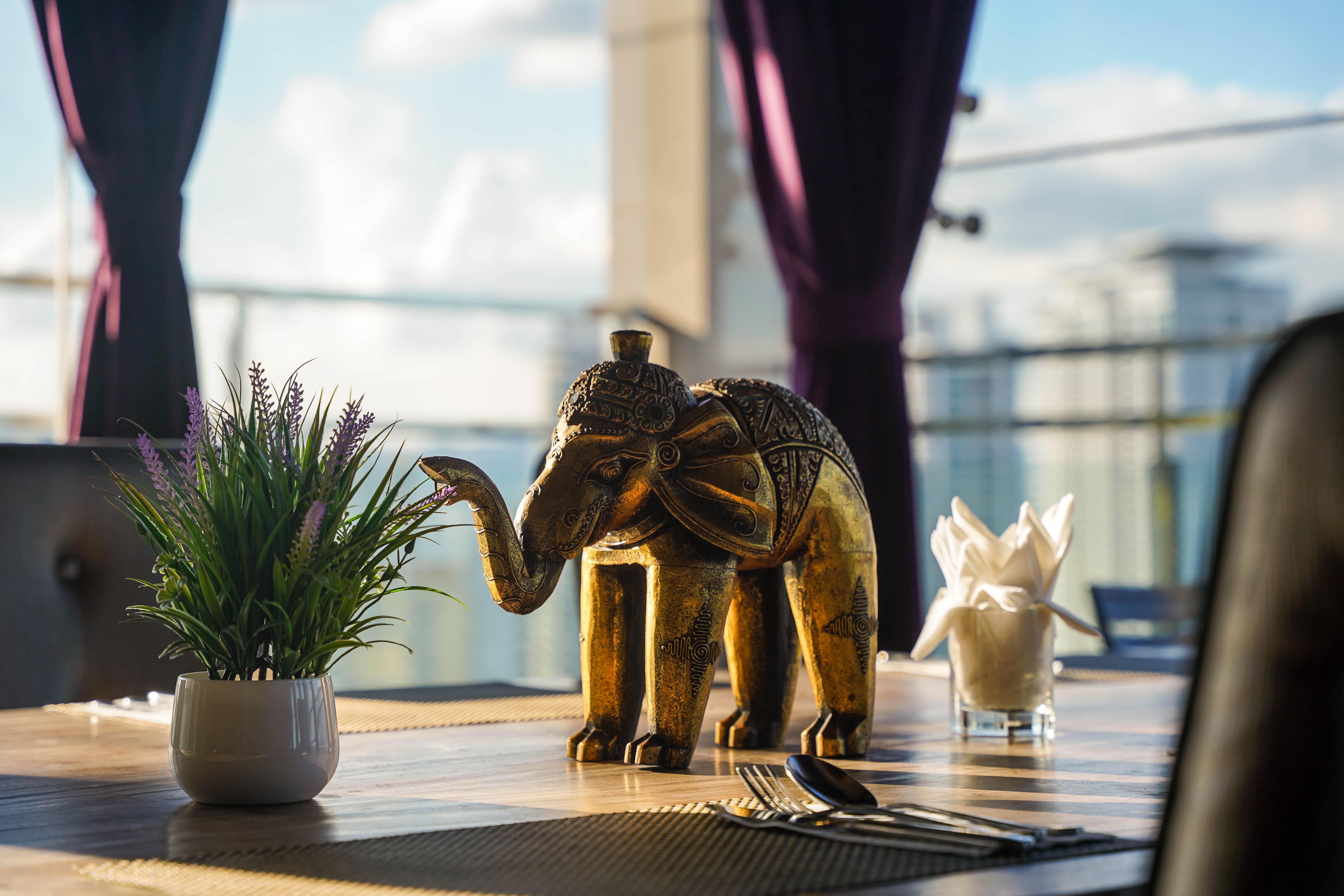 Chakri Raintree-8.jpg