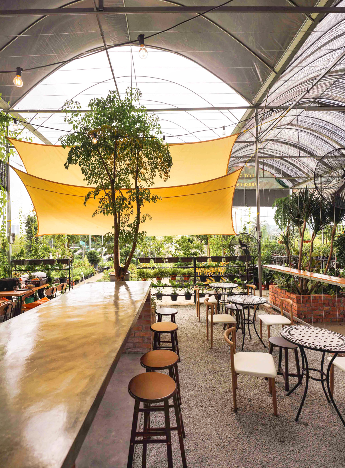 Screenshot 2023-08-01 at 12.06.37 PM.jpg