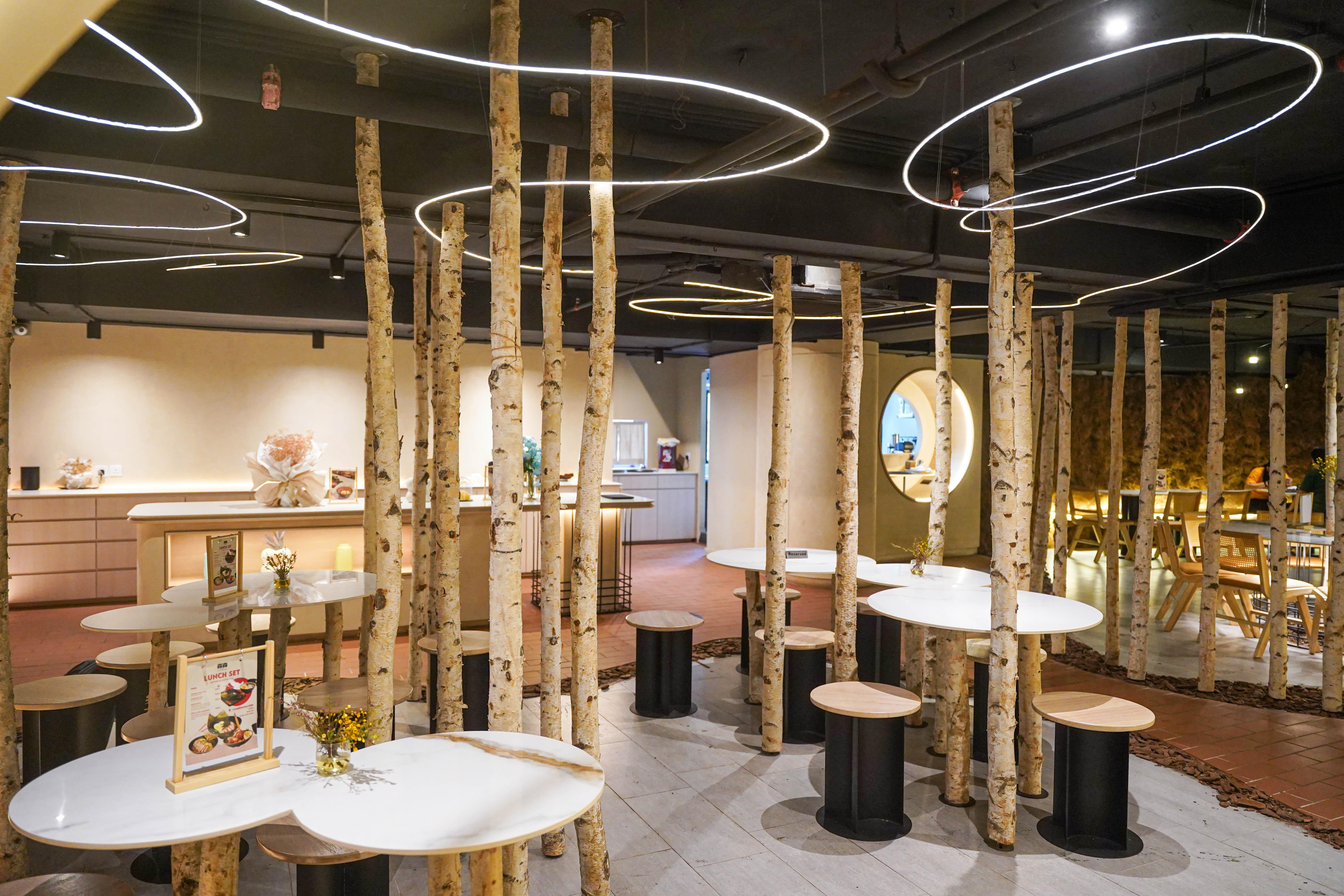 The White Forest-16.jpg