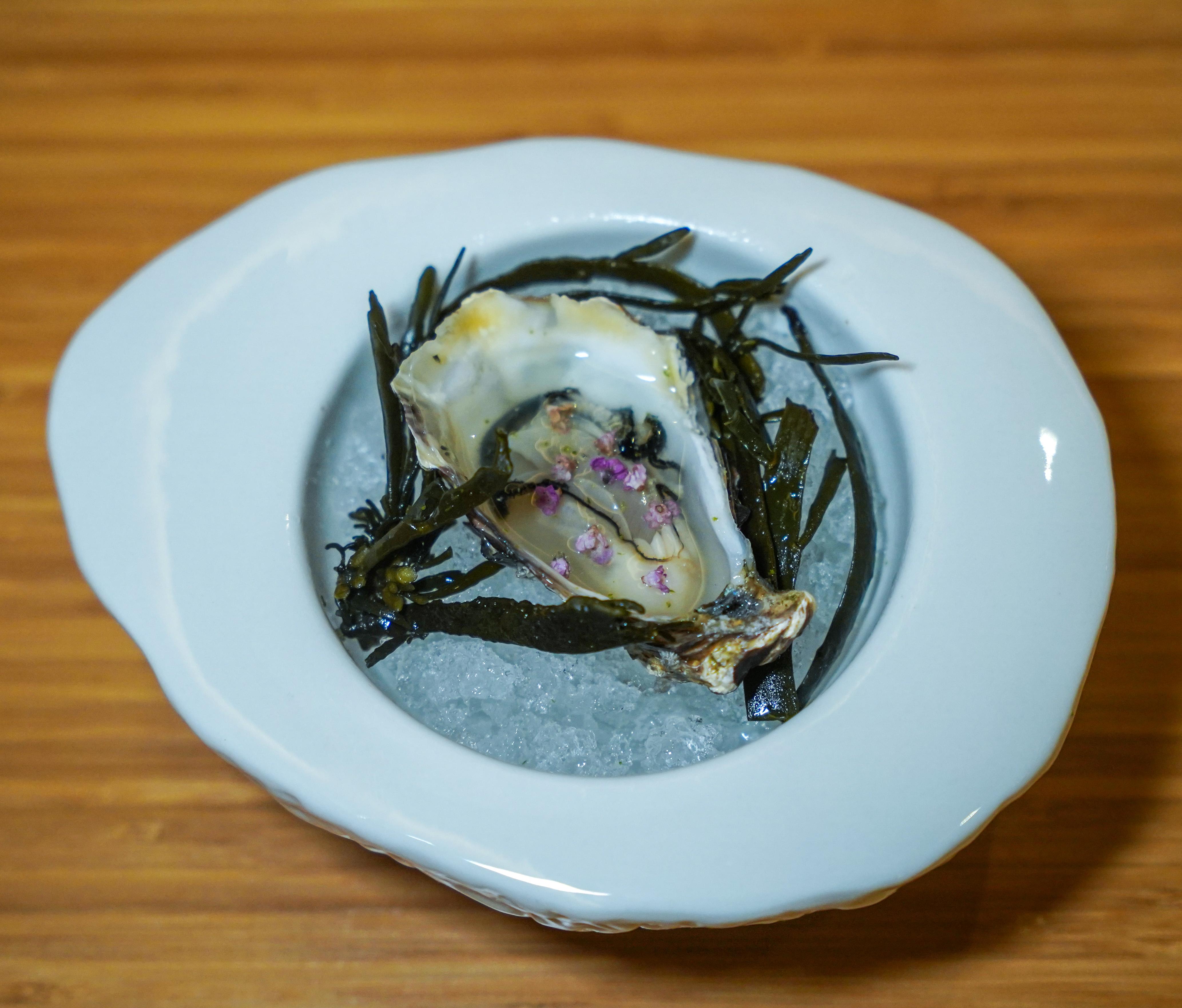 Takeen Redone-21.jpg