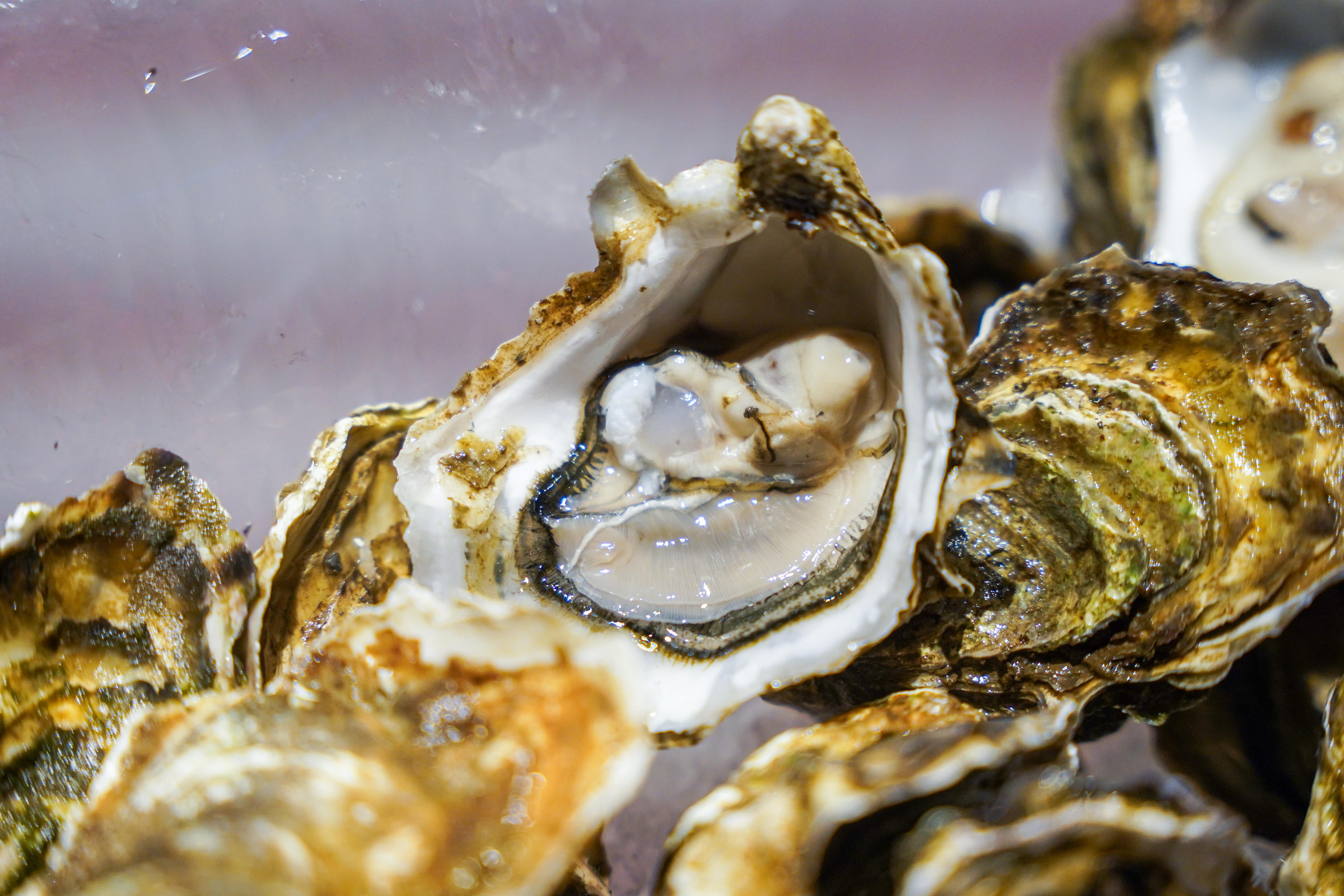 One World Xmas-20.jpg