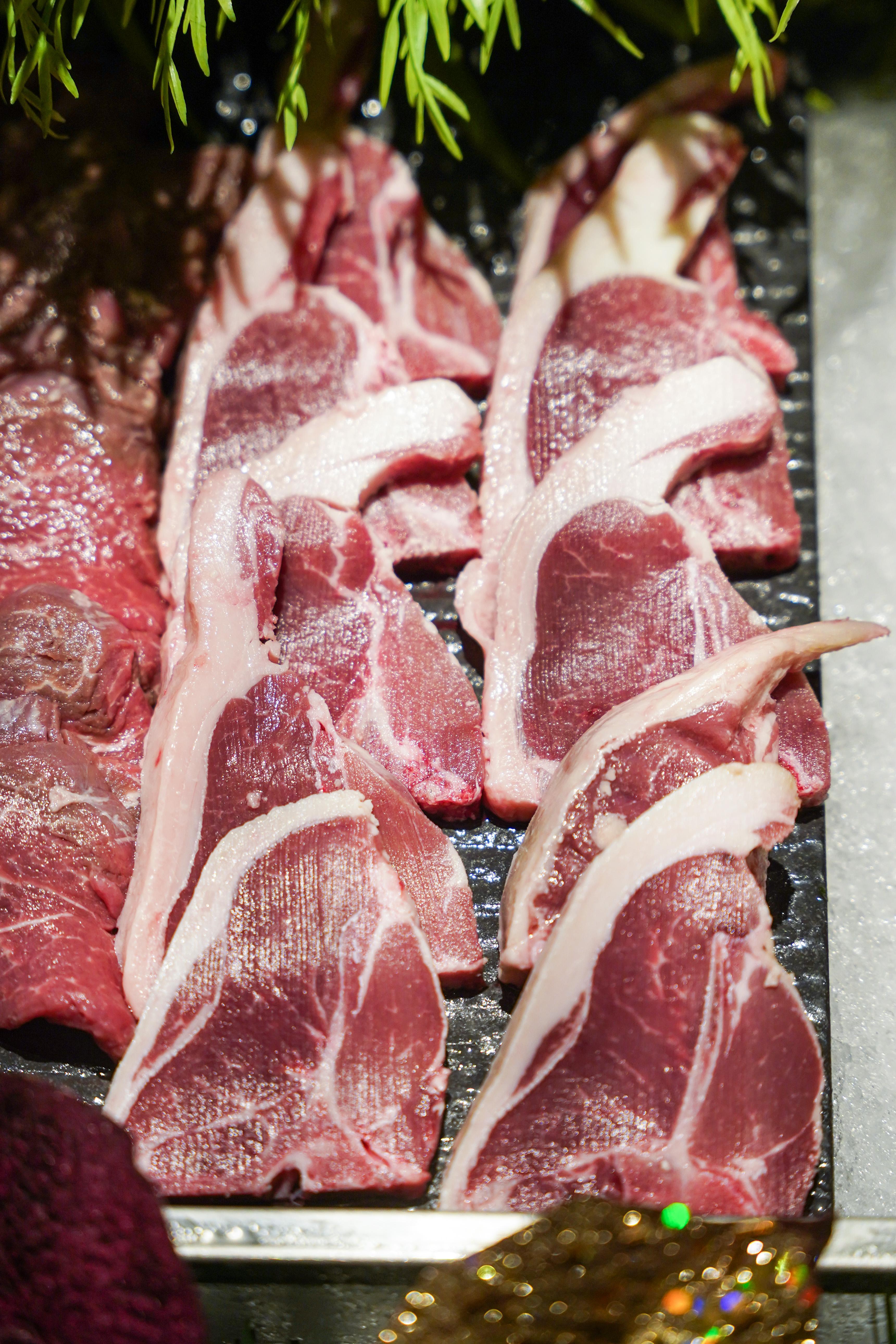 One World Xmas-53.jpg