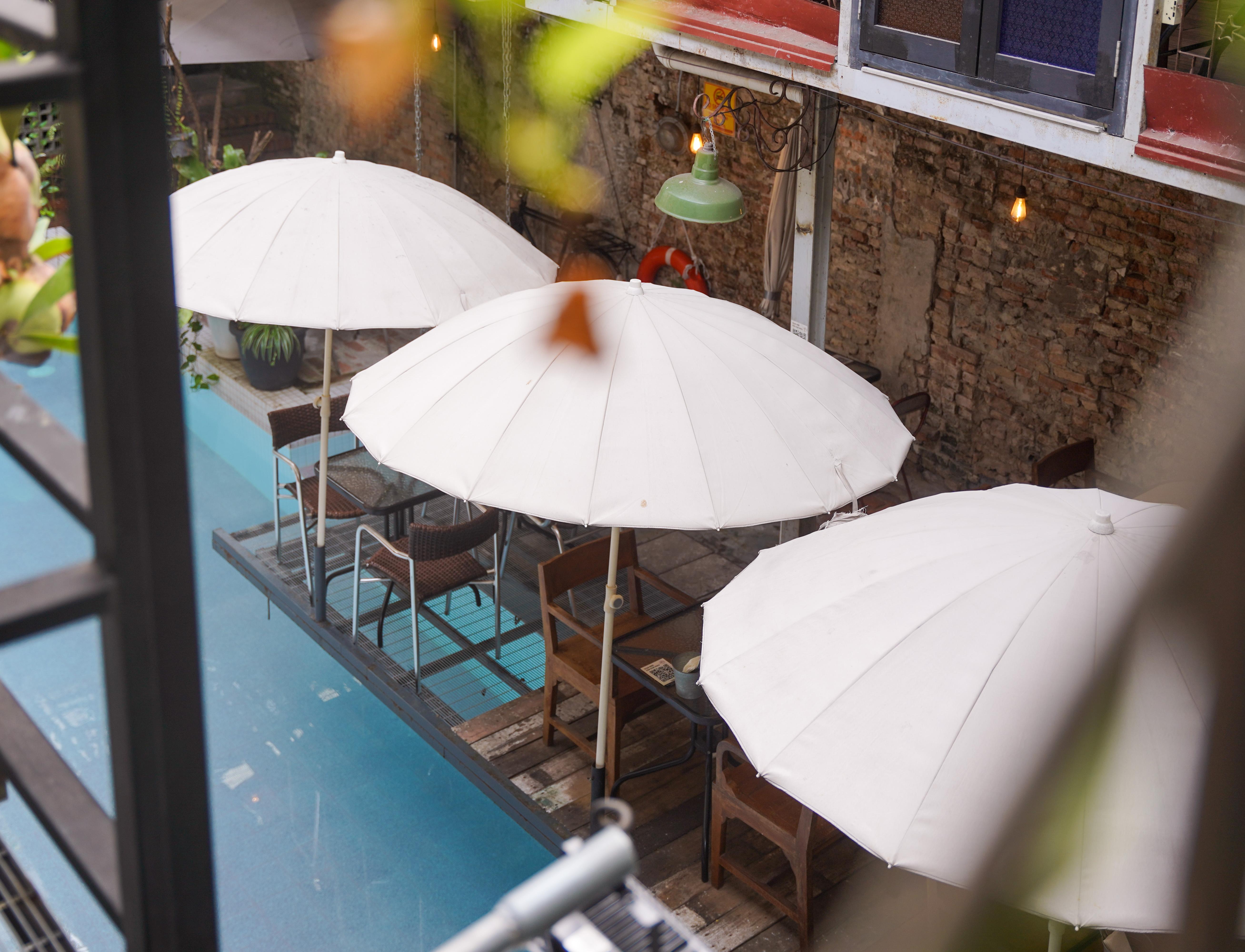 Kafe Kleptokrat-20.jpg