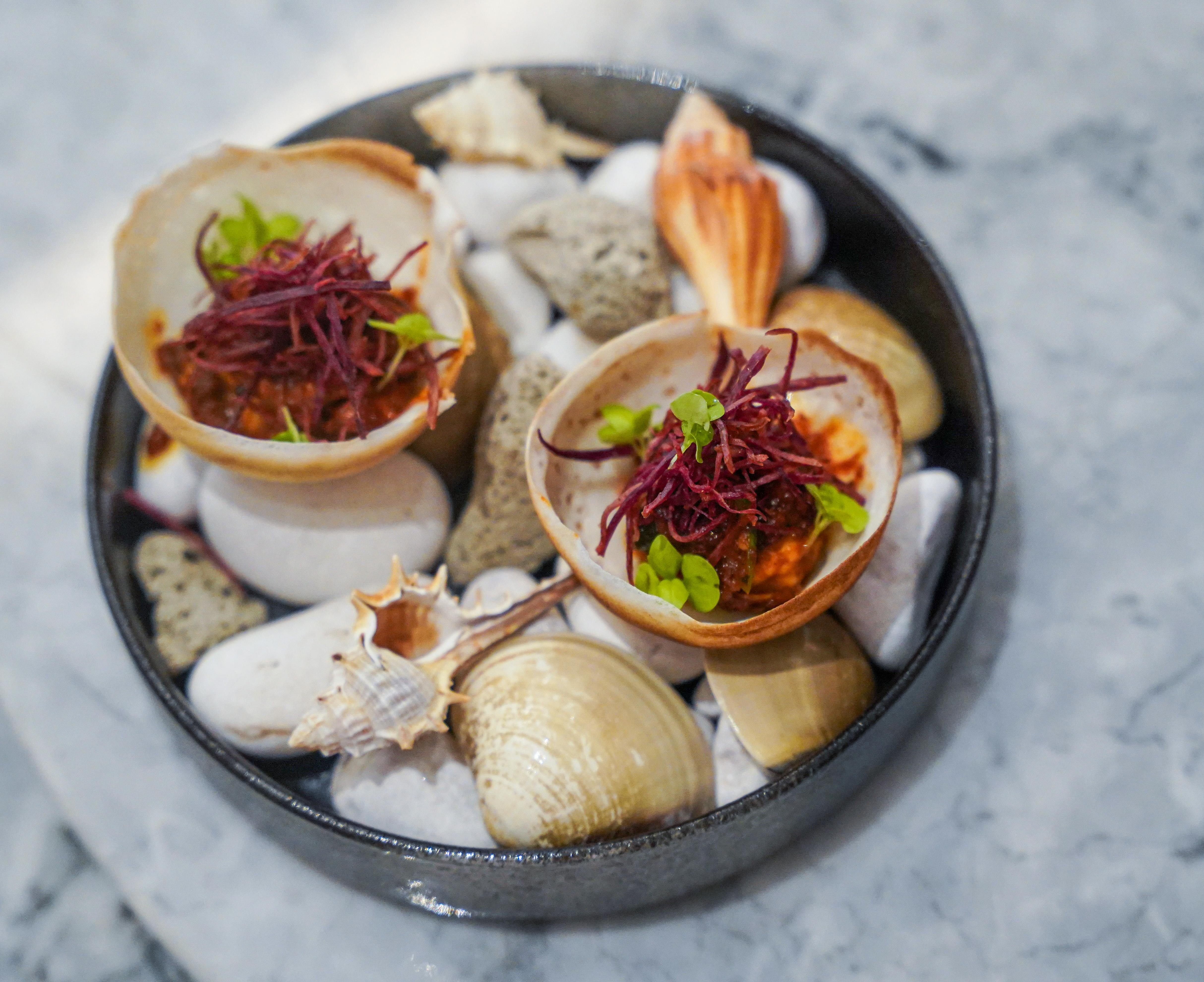 Coast by Kayra-45.jpg