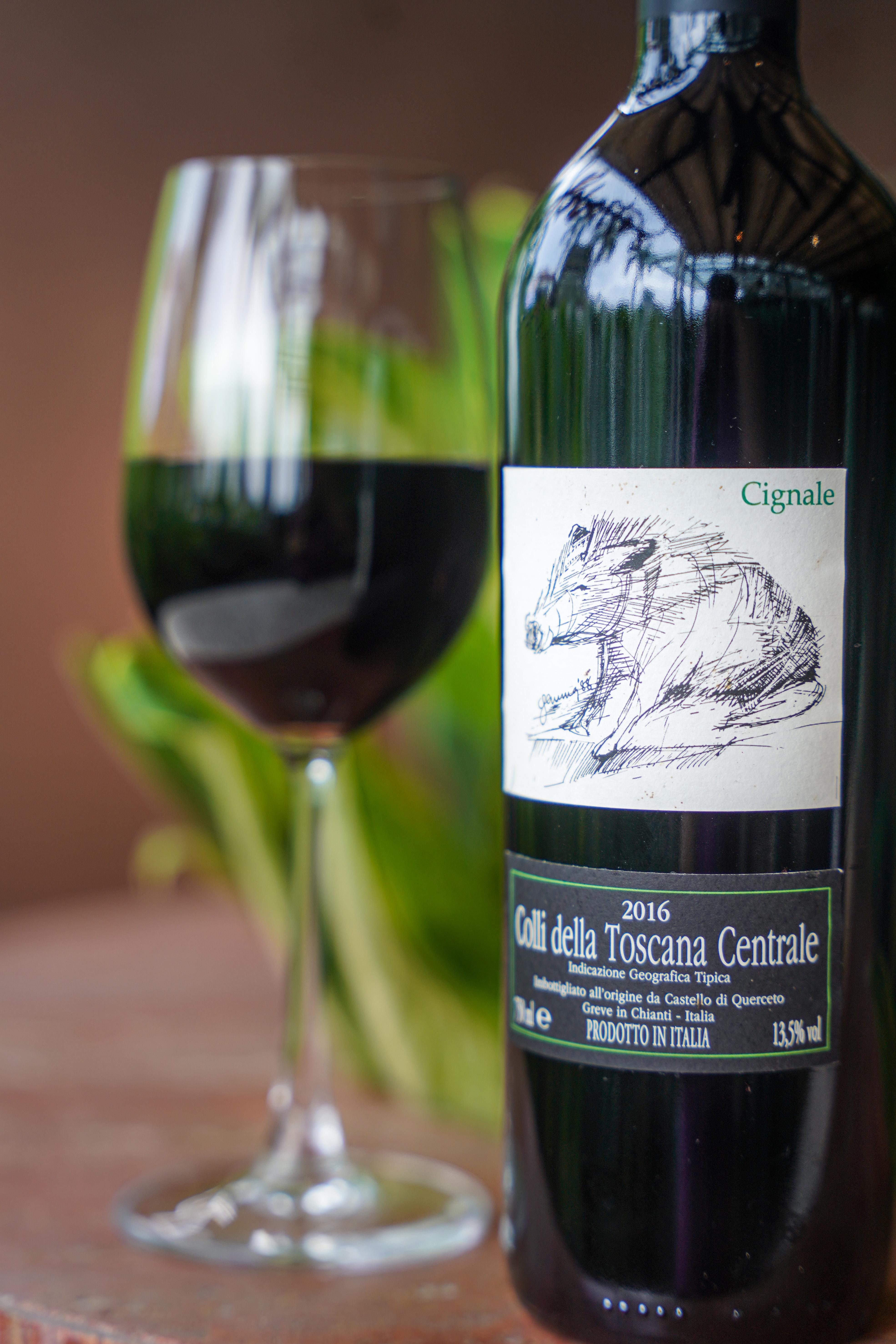 Roberto's BSC-12.jpg