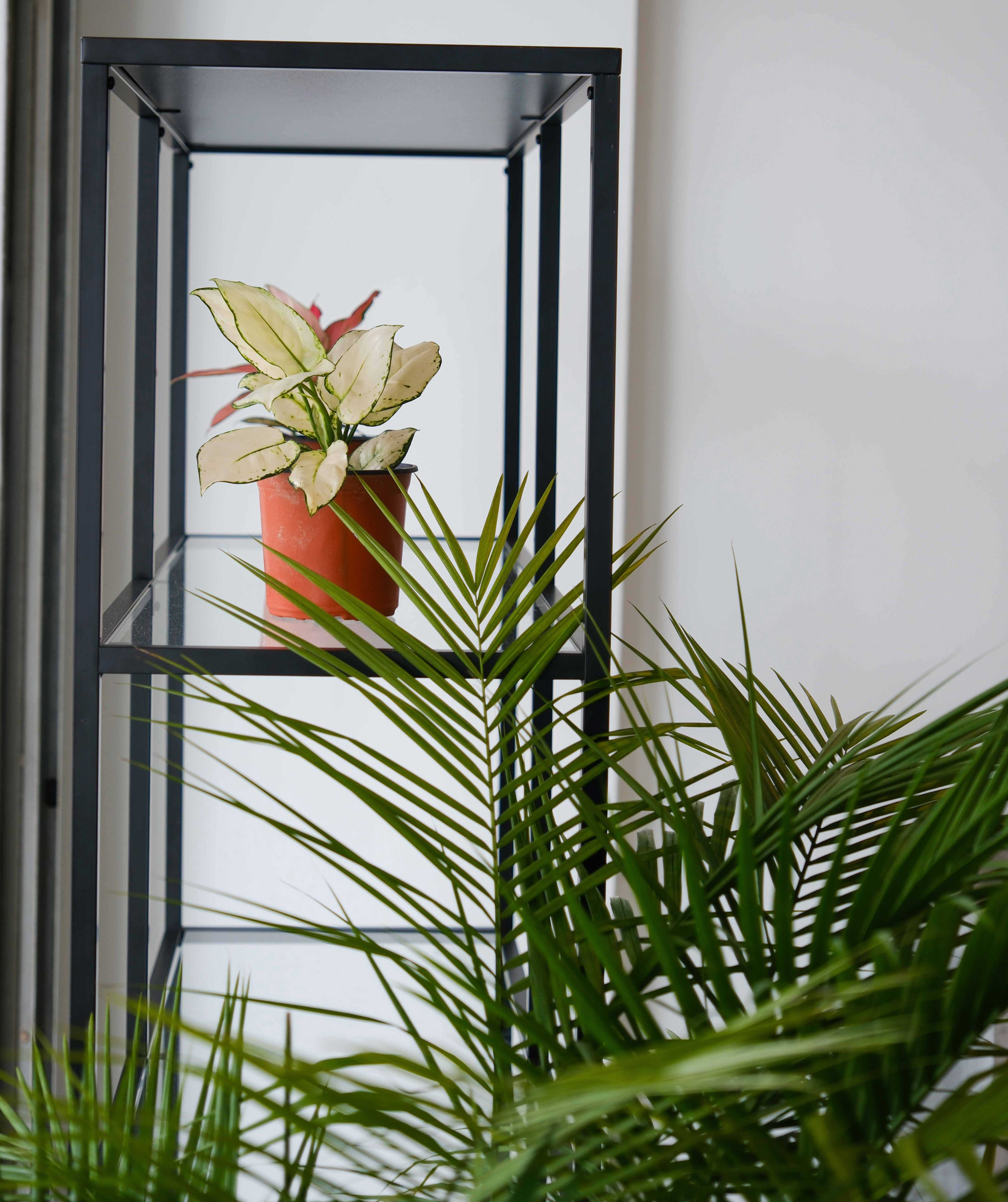 [-original, -original]-e7a1c8a7ca5ea5ebb39828e0311caa7a-30.jpg