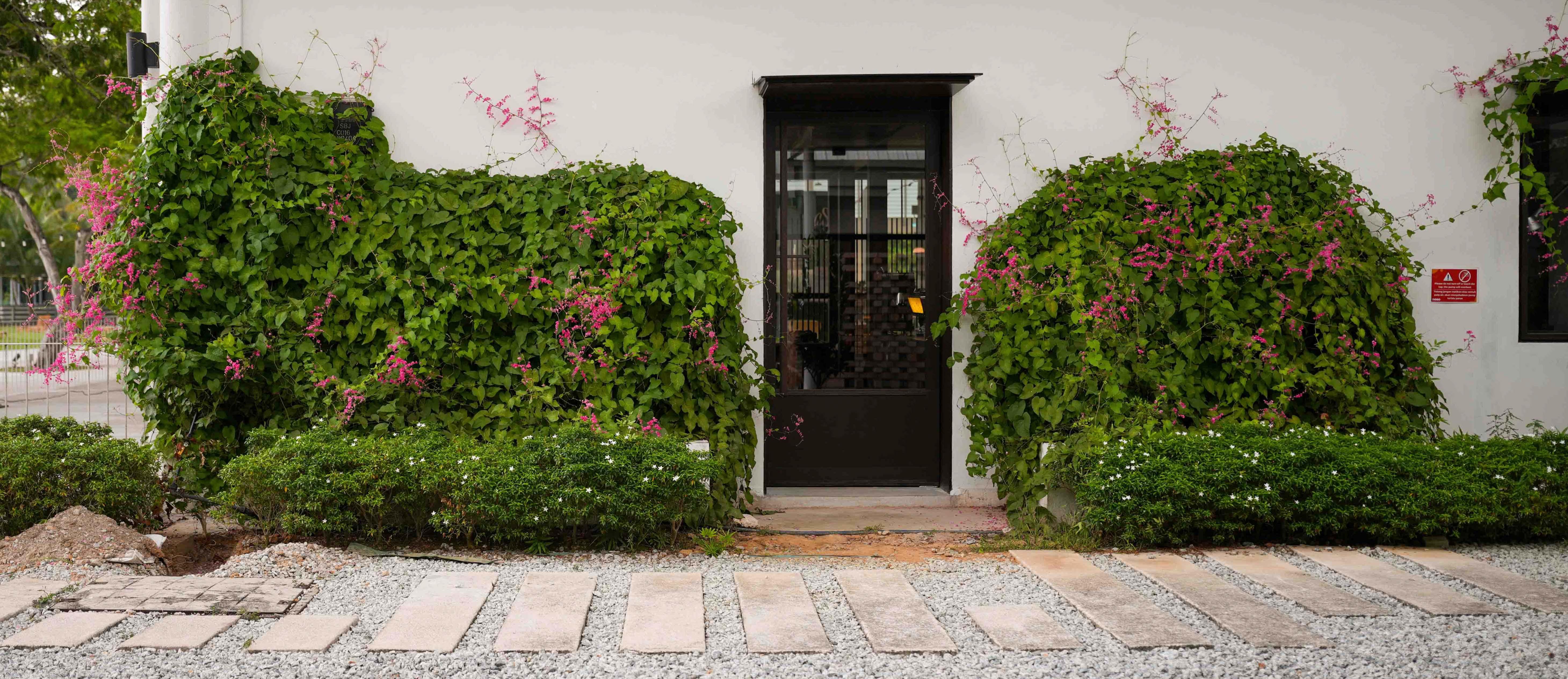 coming soon: tomo tomo, subang jaya