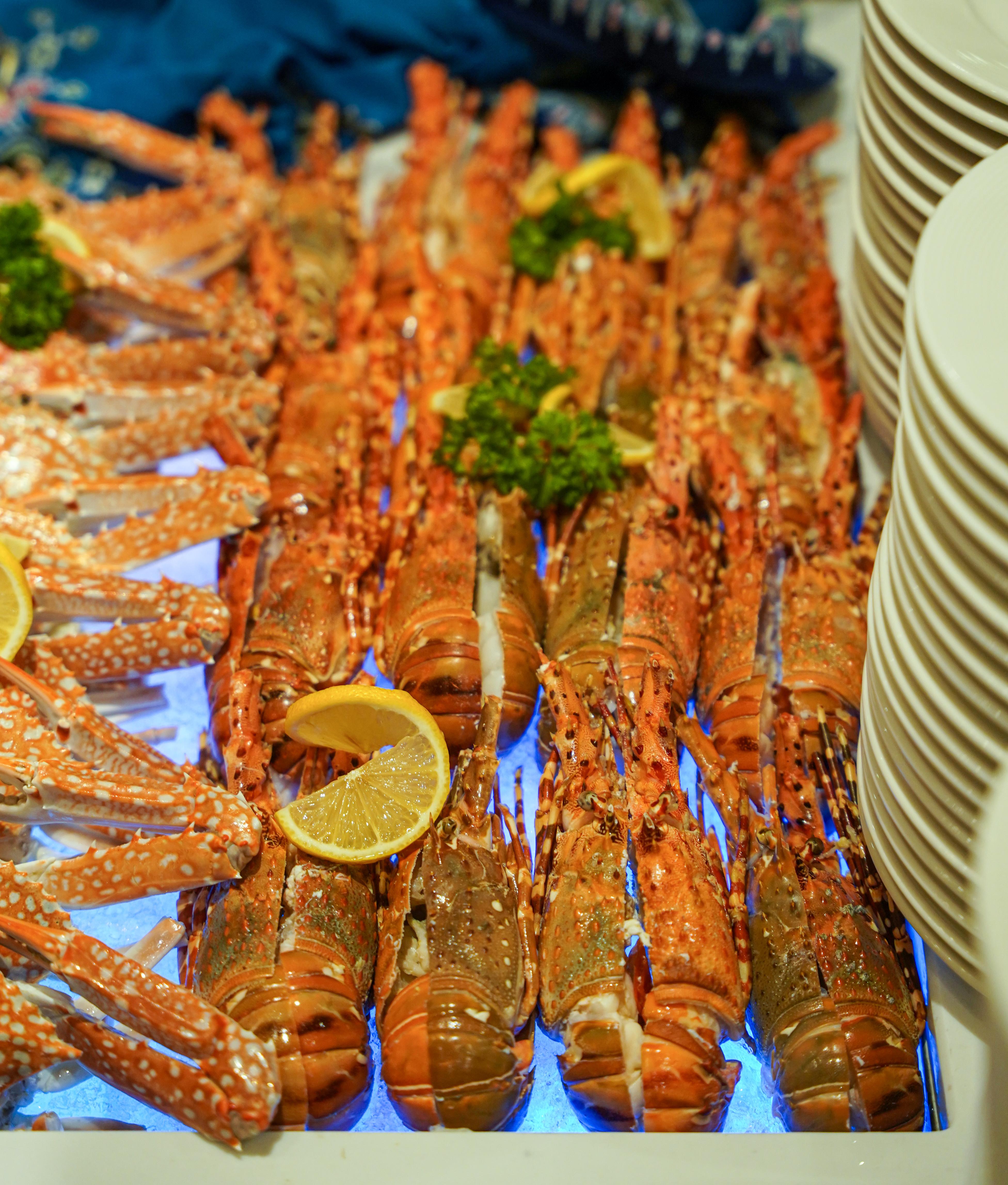 Lexis Ramadan Buffet-38.jpg