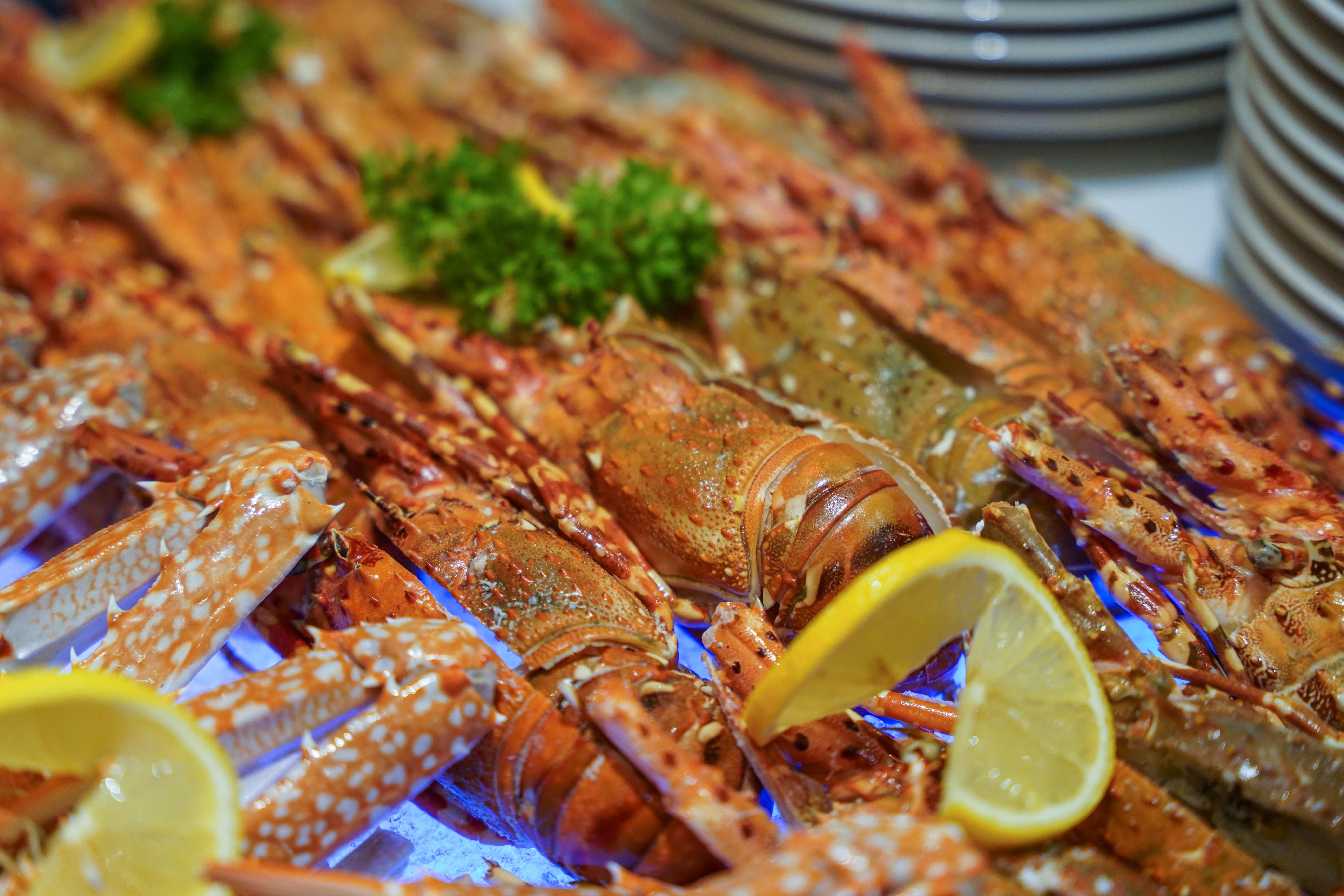 Lexis Ramadan Buffet-37.jpg