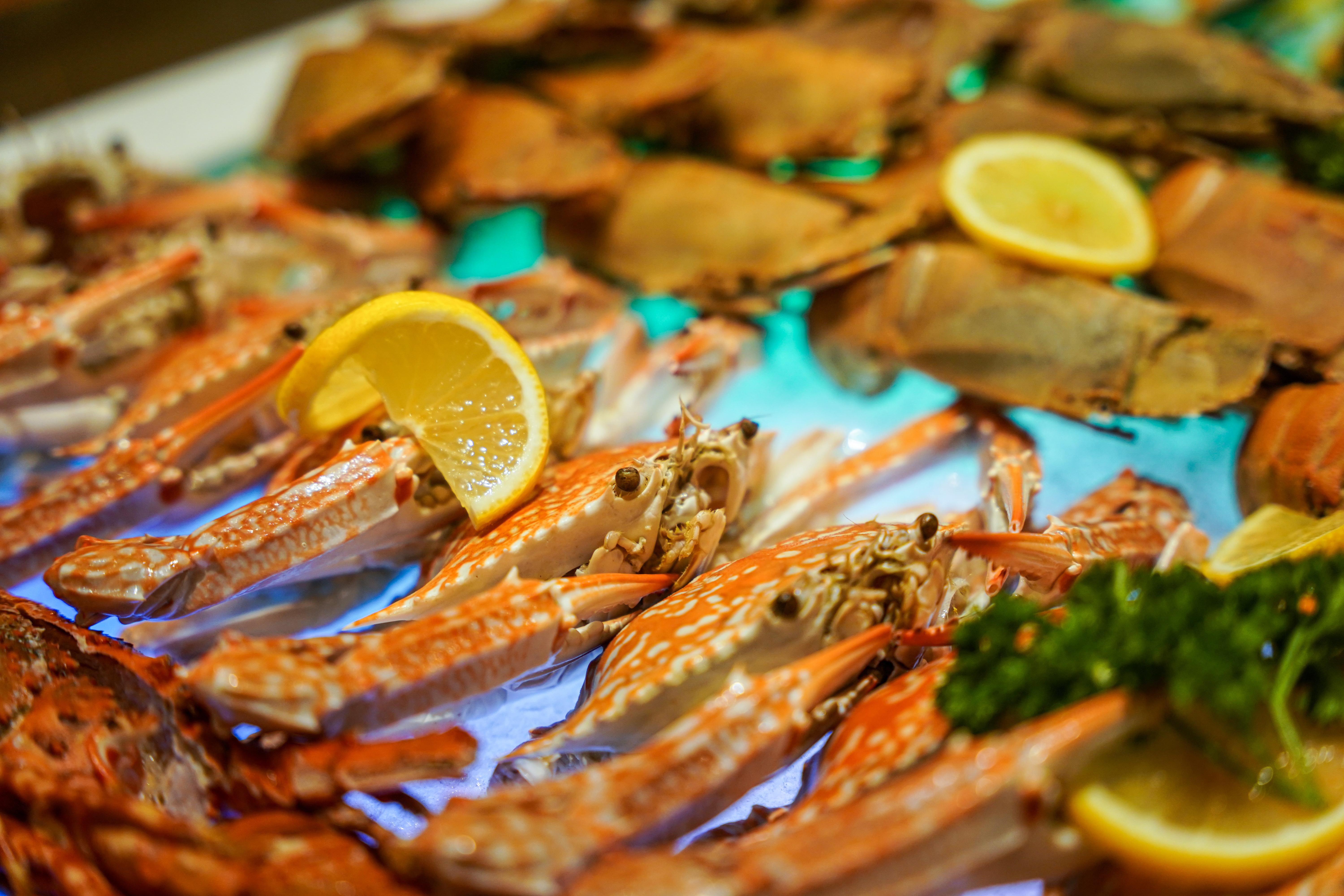 Lexis Ramadan Buffet-39.jpg