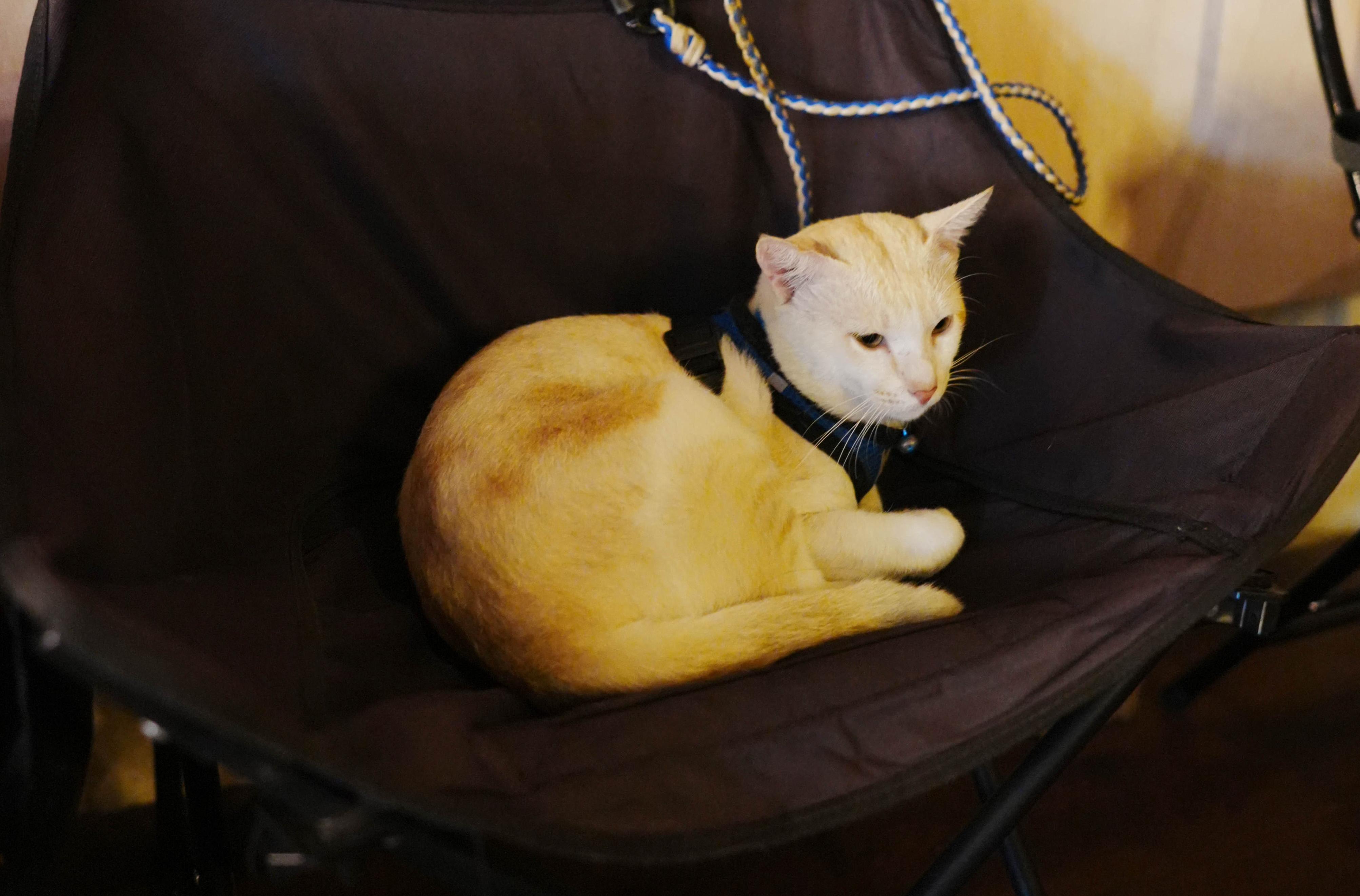 DSC08944.jpg