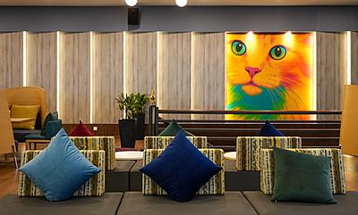 leo's ttdi: new pickleball lovers' cafe for east-west favourites, bold brews & beats