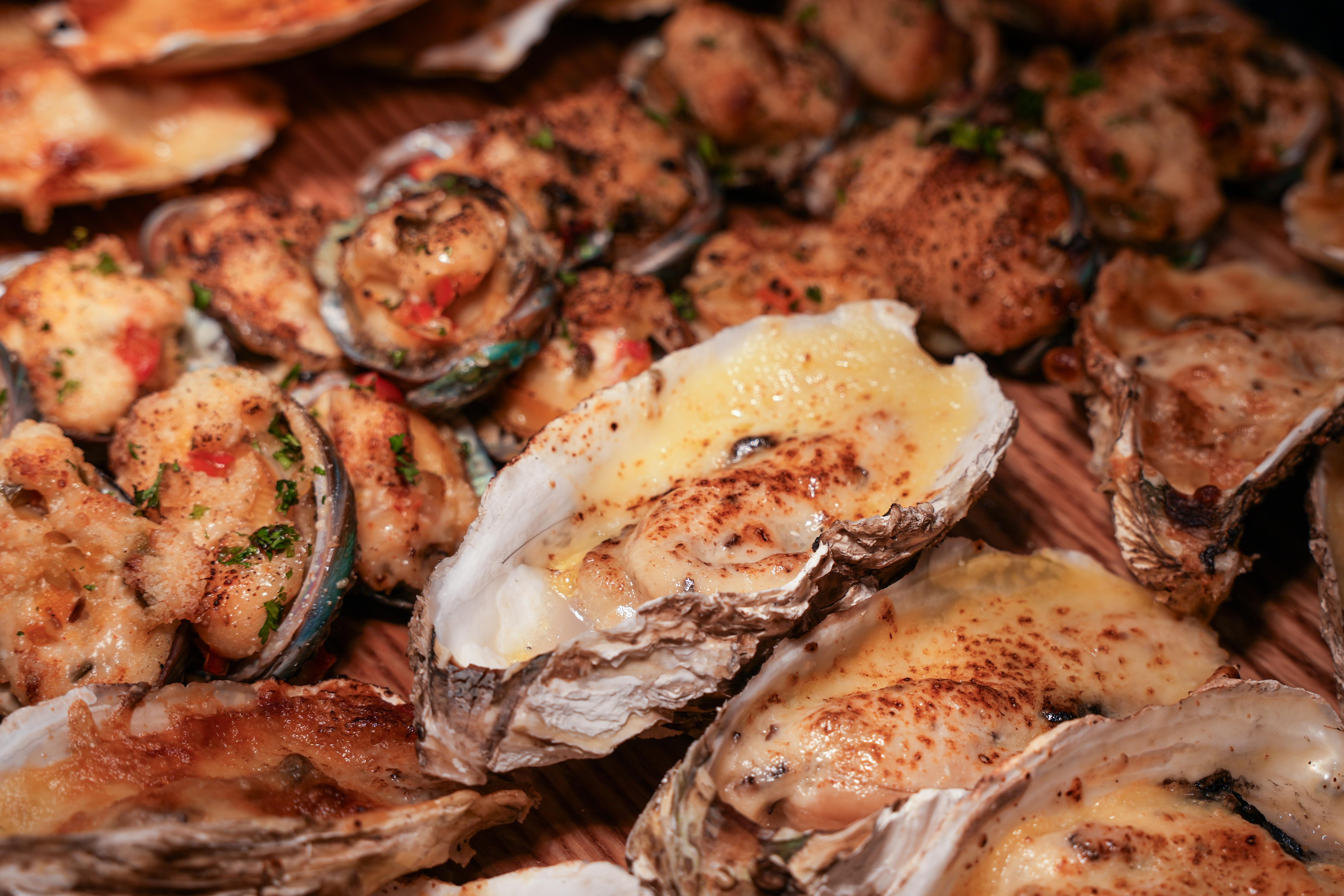 Roselle Xmas NY-17.jpg