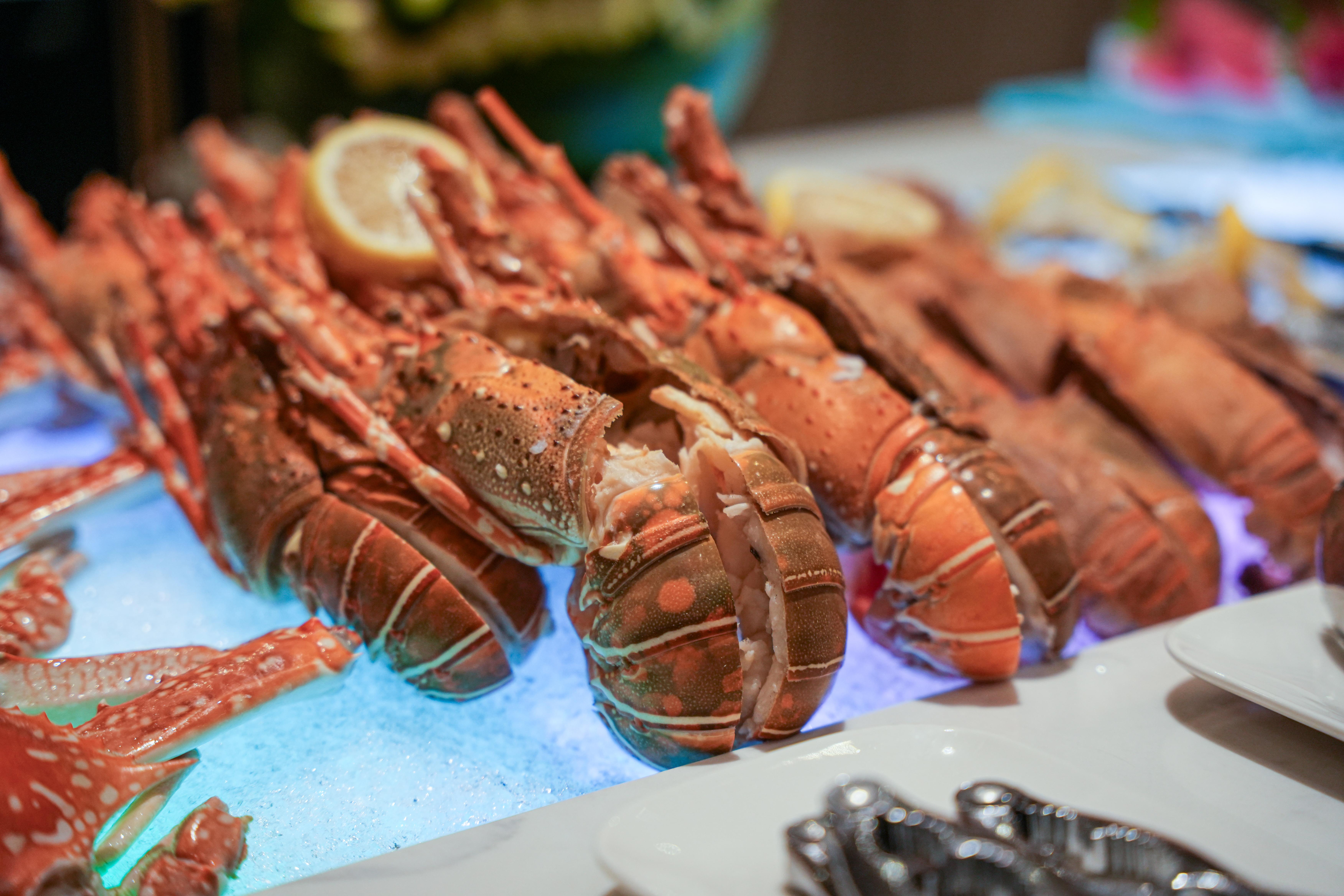 Roselle Xmas NY-9.jpg