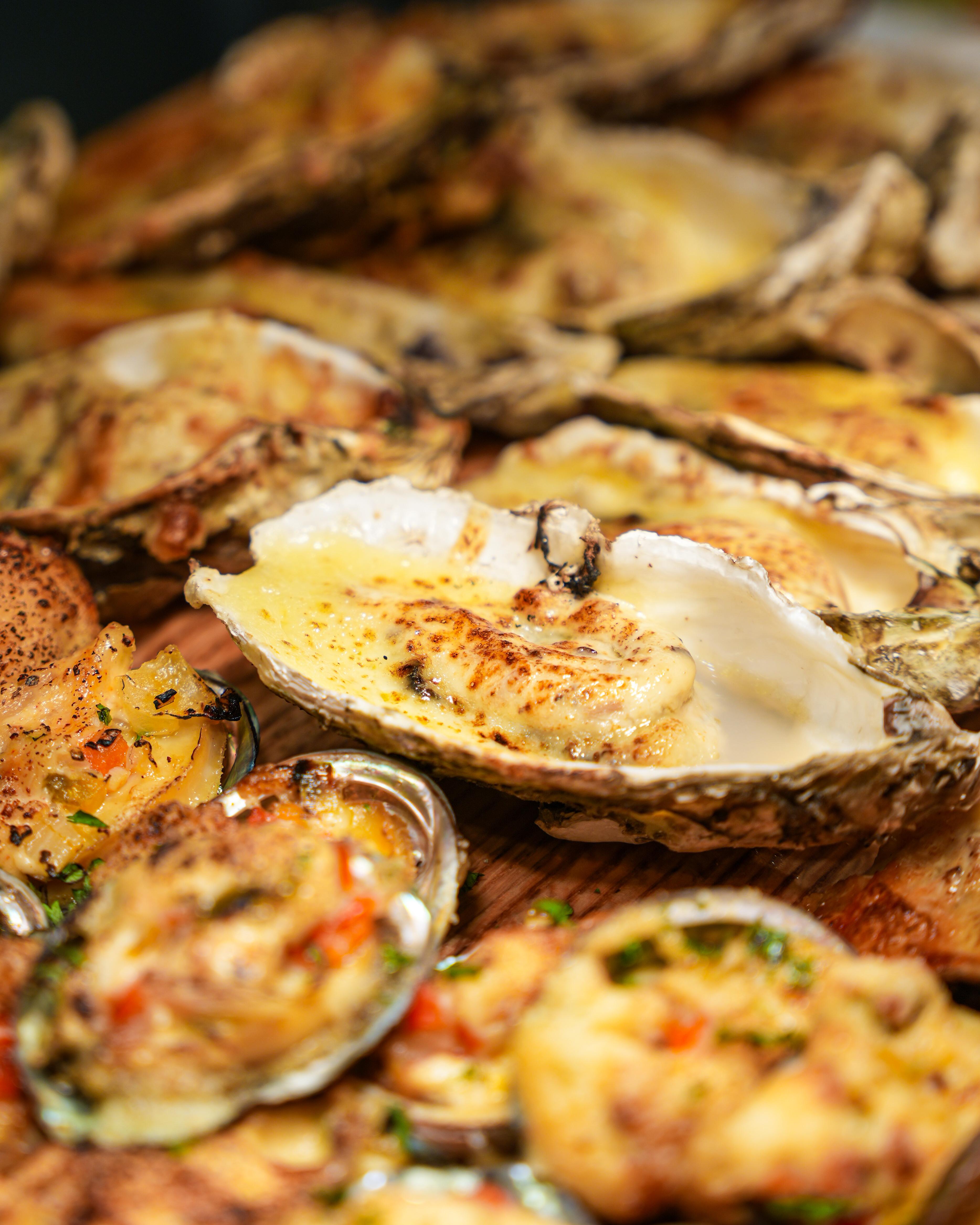 Roselle Xmas NY-15.jpg