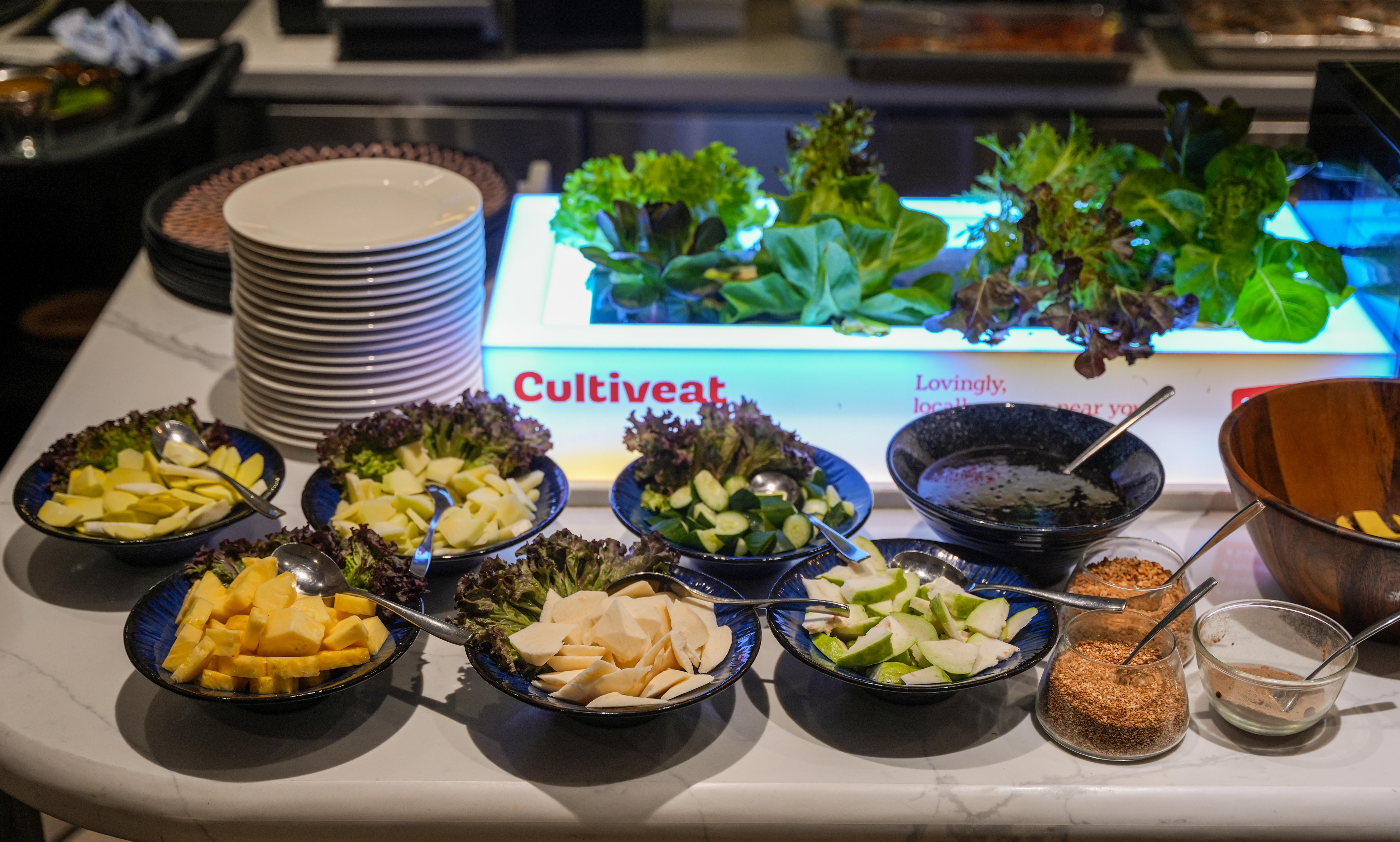 Roselle Xmas NY-37.jpg