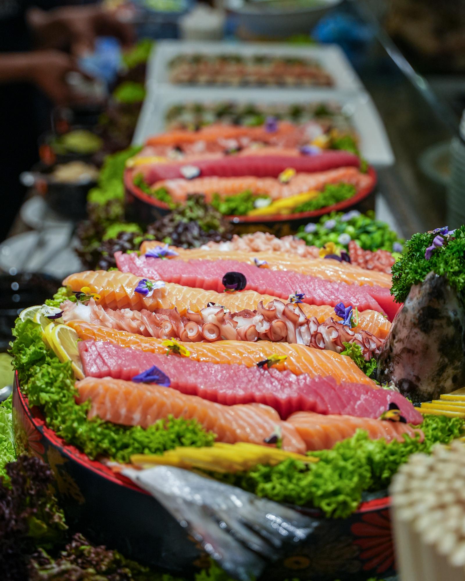 Concorde 2026-18.jpg