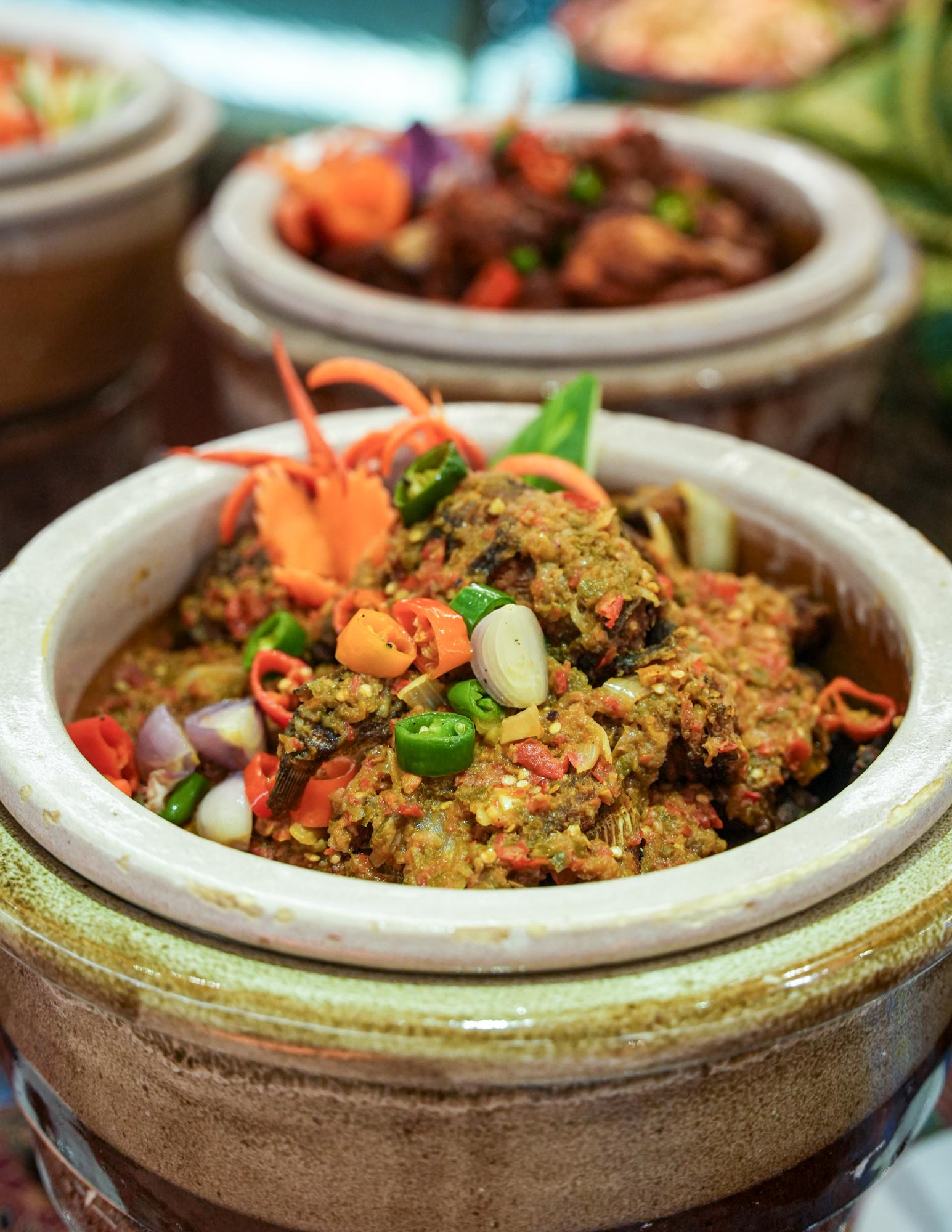 Concorde 2026-12.jpg