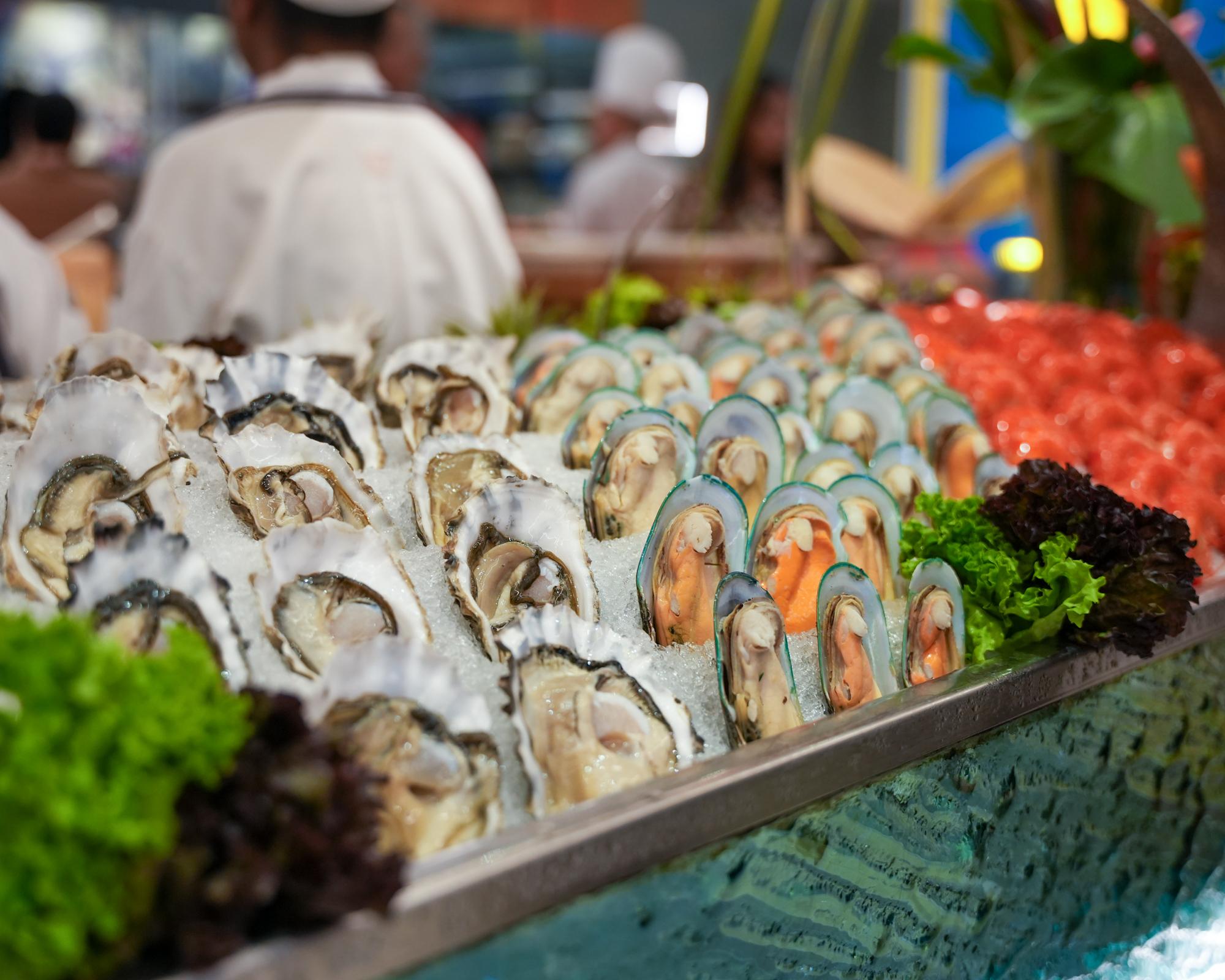 Concorde 2026-37.jpg