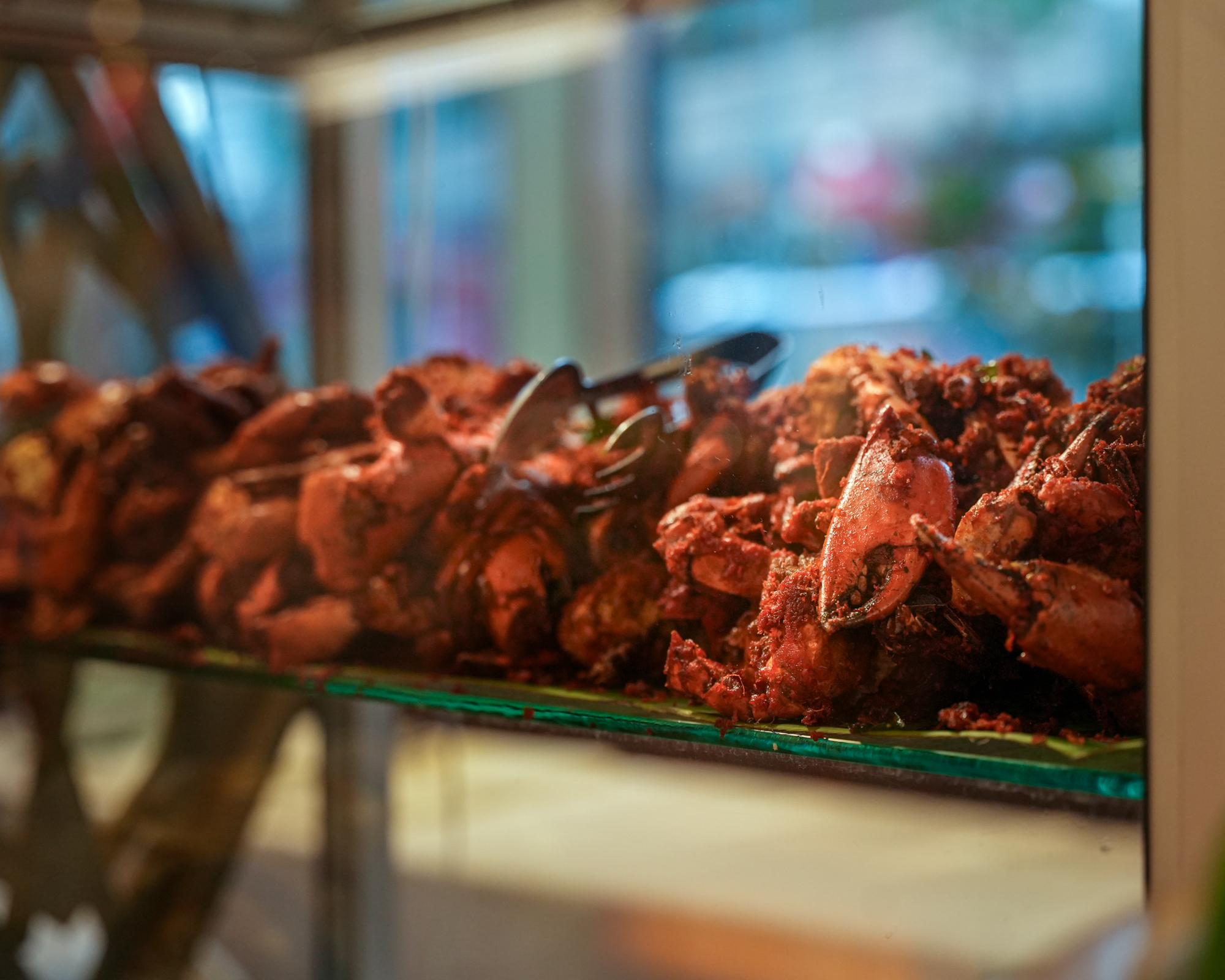 Concorde 2026-52.jpg