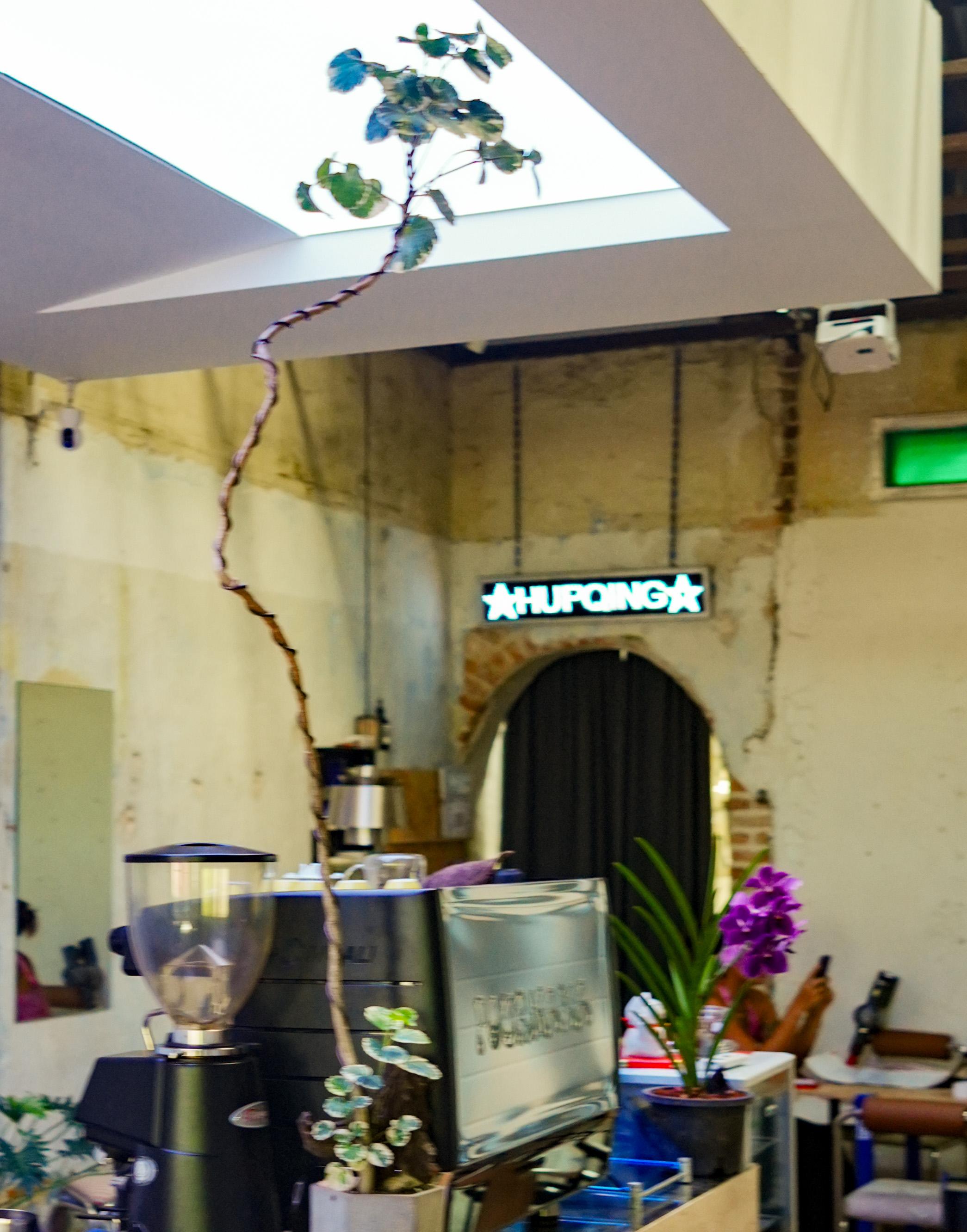 DSC01445.jpg