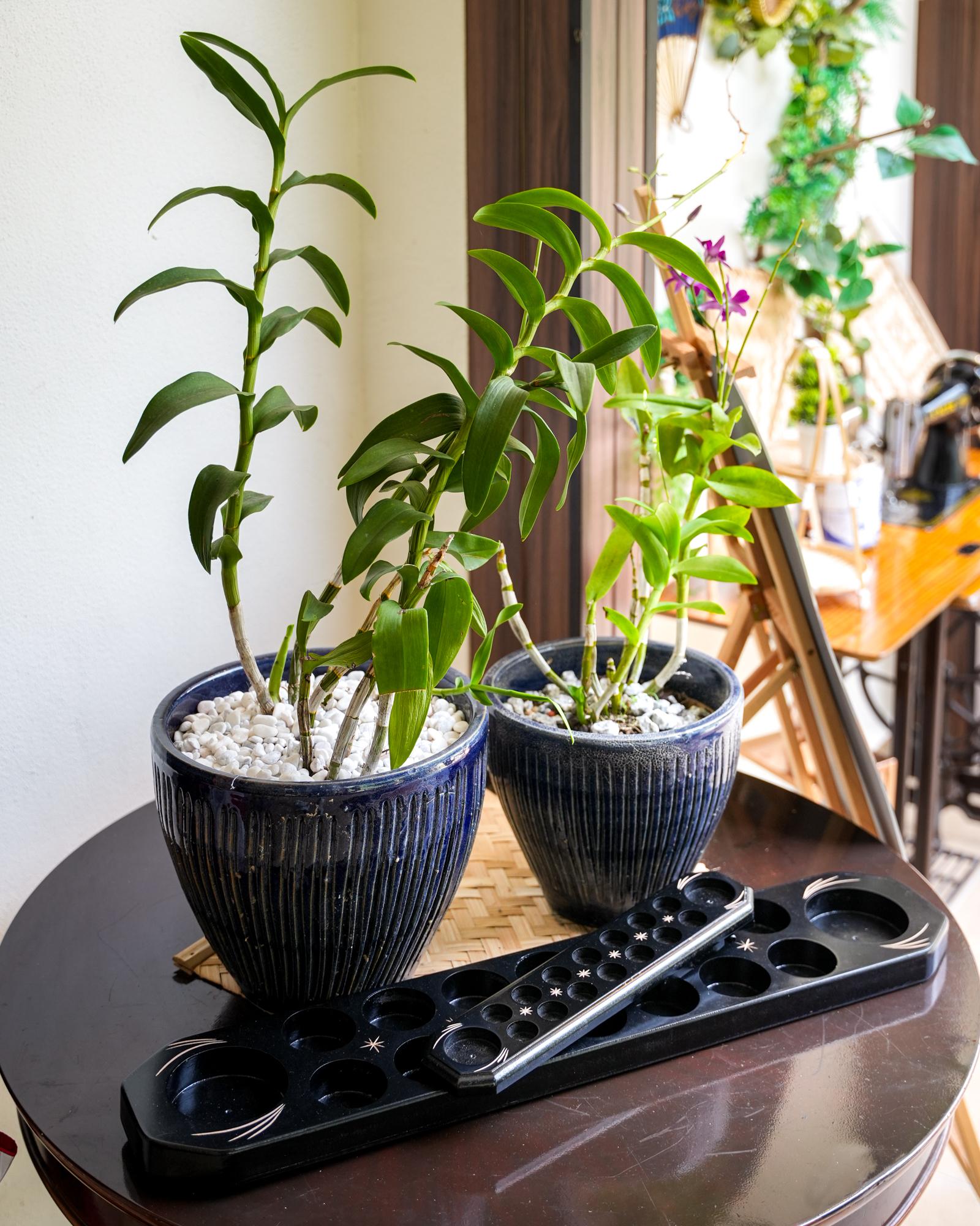 Rimba Place-7.jpg