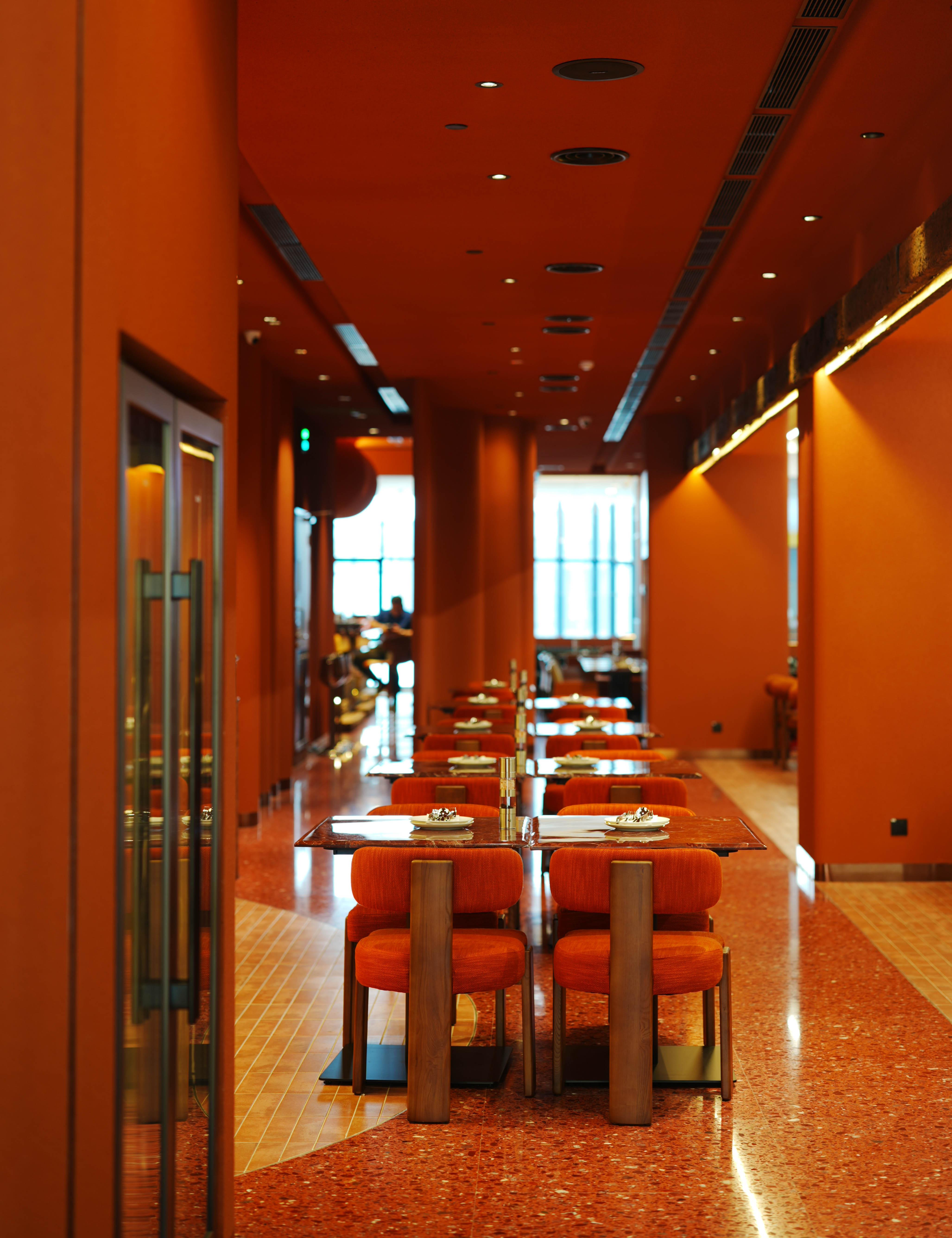 DSC02012.jpg