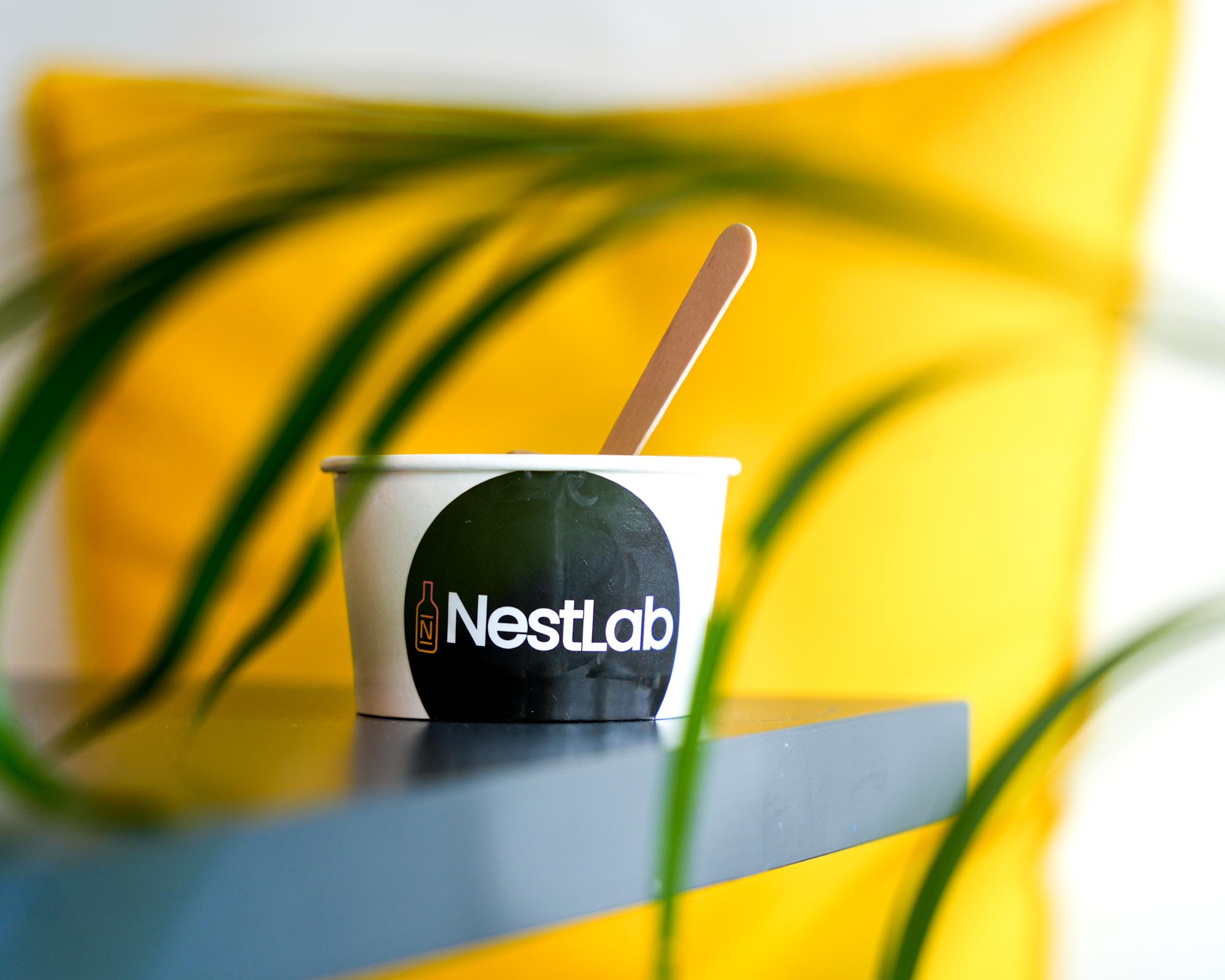 Nestlab-7.jpg