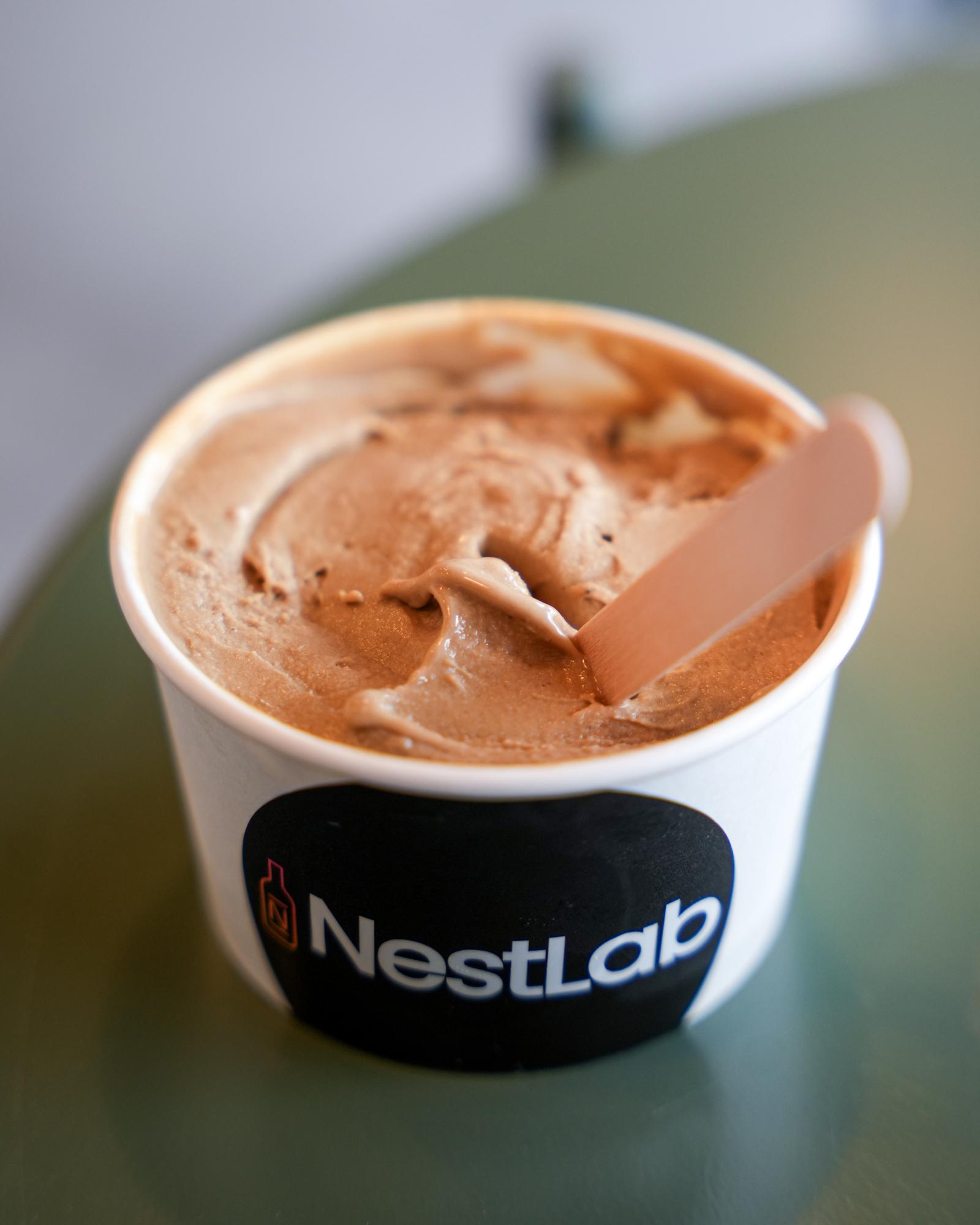 Nestlab-6.jpg
